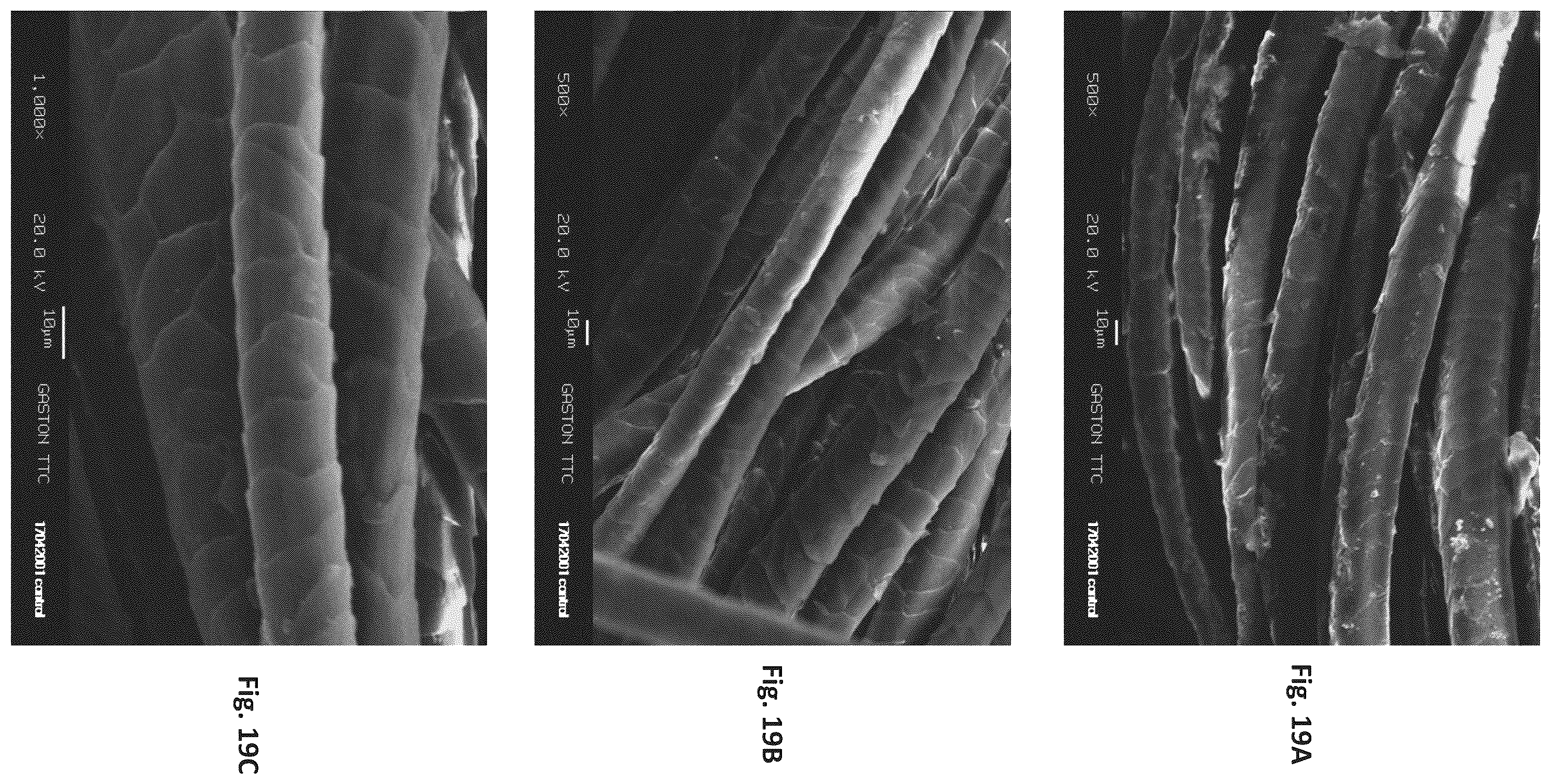 Patent US12129596 Figure 19 – Silk coated fabrics and products and methods of preparing the same