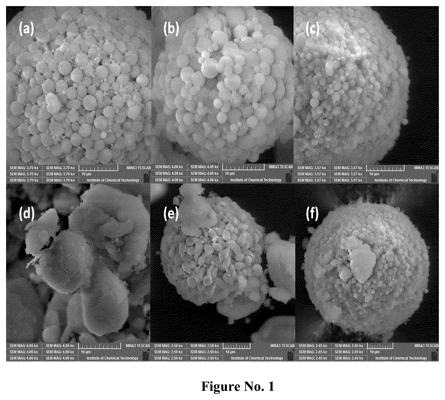 Patent US12134085 Figure 1 – Steam reforming catalysts for sustainable hydrogen production from biobased materials