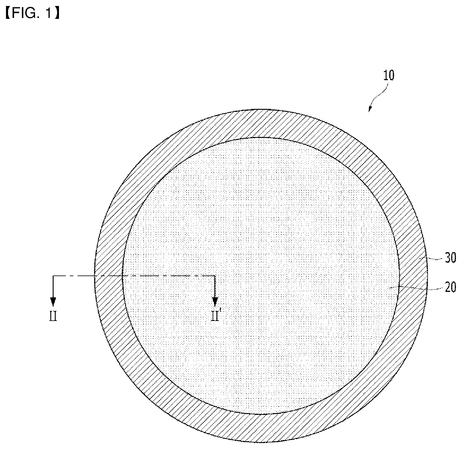 Patent US12134162 Figure 1 – Wafer polishing head, method for manufacturing wafer polishing head, and wafer polishing apparatus comprising same
