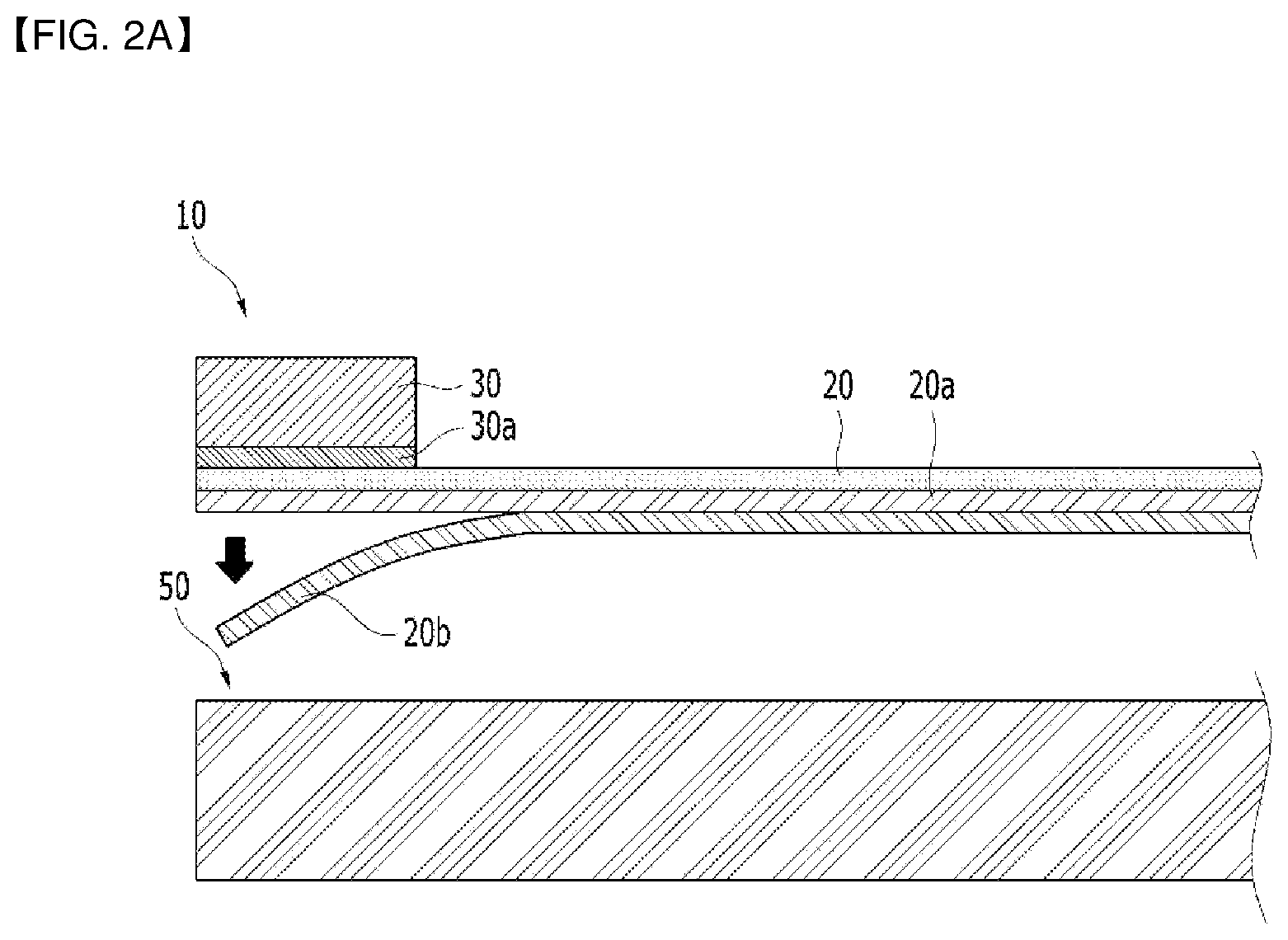 Patent US12134162 Figure 2 – Wafer polishing head, method for manufacturing wafer polishing head, and wafer polishing apparatus comprising same
