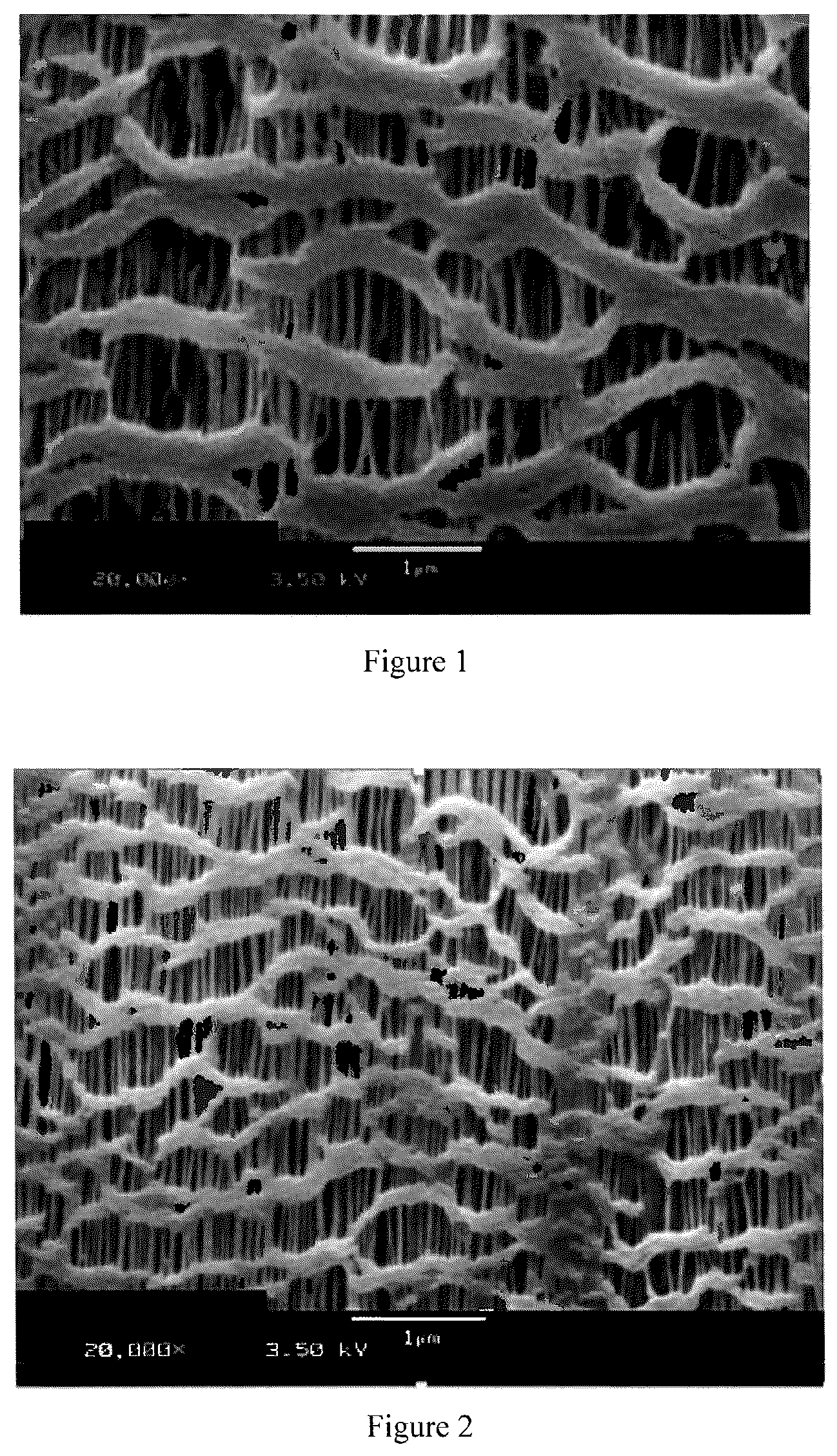 Patent US12134259 — Laminated multilayer membranes, separators, batteries, and methods — Figure 1