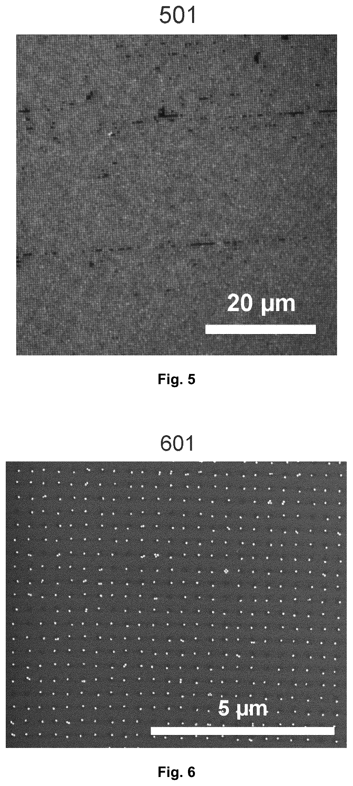 Patent US12134280 Figure 3 – Optical device with ordered scatterer arrays for secure identity and a method of producing the same