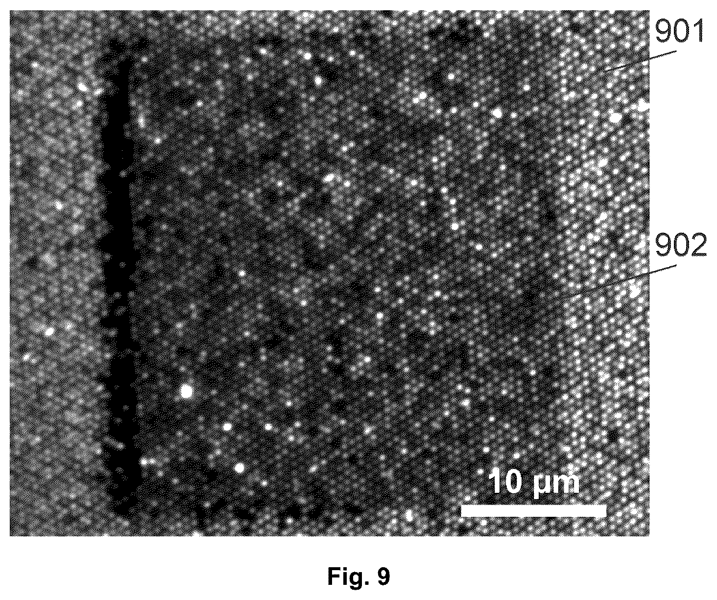 Patent US12134280 Figure 5 – Optical device with ordered scatterer arrays for secure identity and a method of producing the same