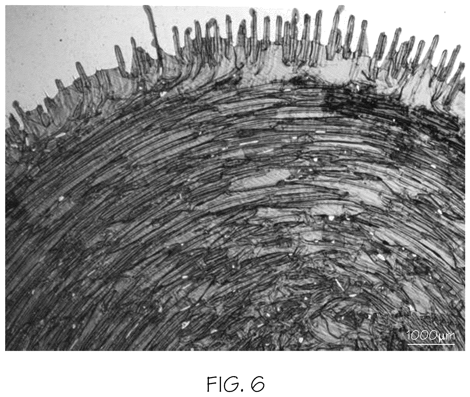 Patent US12134579 Figure 5 – Coated articles with optical coatings having residual compressive stress