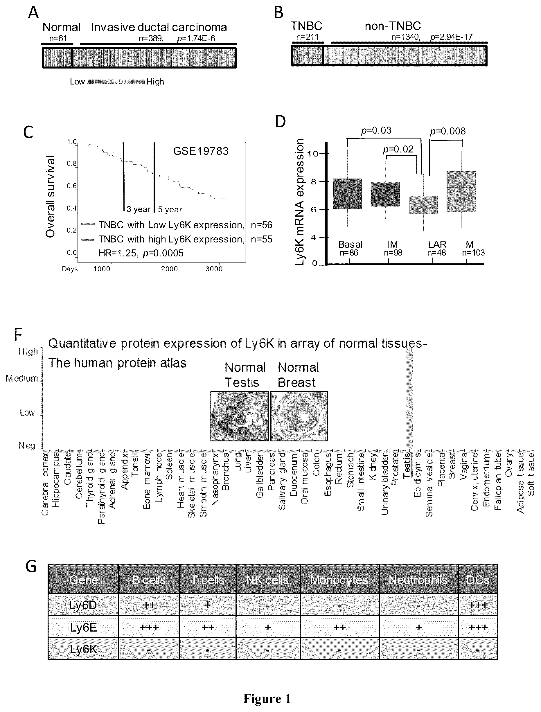 Patent US12134601 Figure 1 – Compounds for inhibiting LY6K and methods of using same