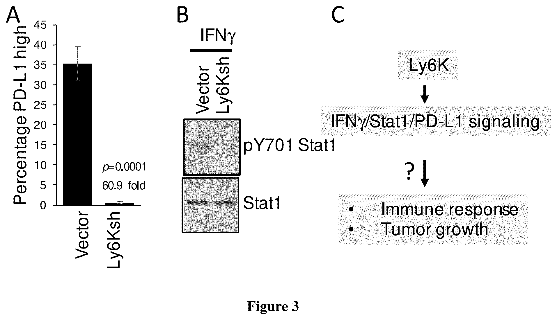 Patent US12134601 Figure 3 – Compounds for inhibiting LY6K and methods of using same