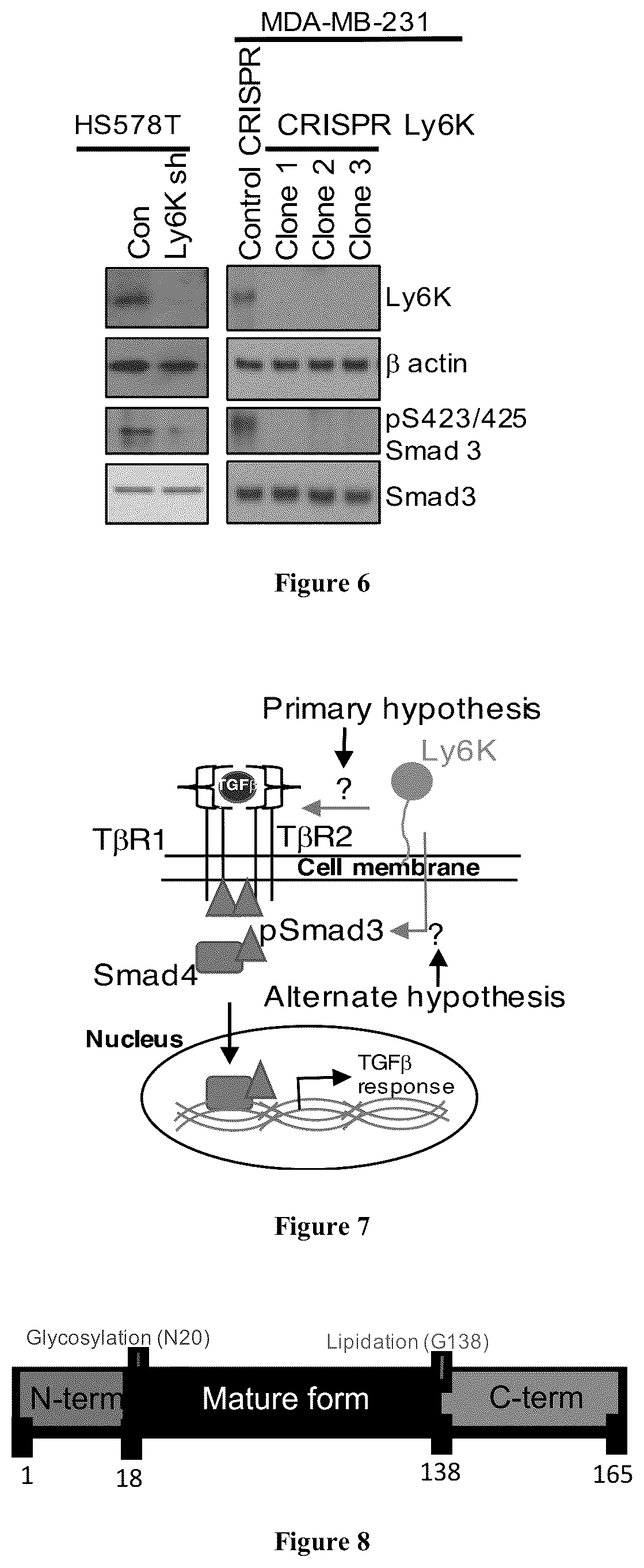 Patent US12134601 Figure 5 – Compounds for inhibiting LY6K and methods of using same