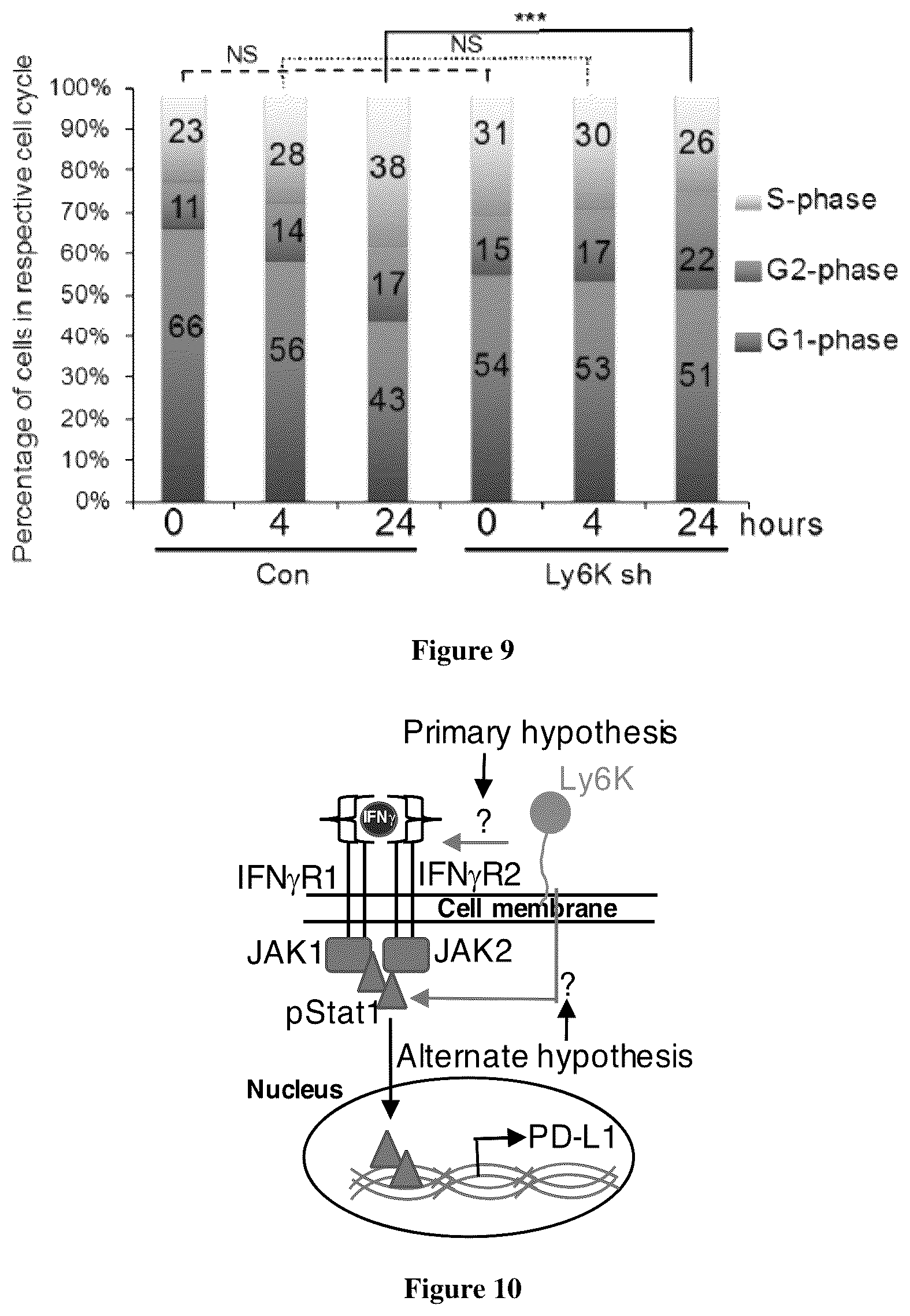 Patent US12134601 Figure 6 – Compounds for inhibiting LY6K and methods of using same