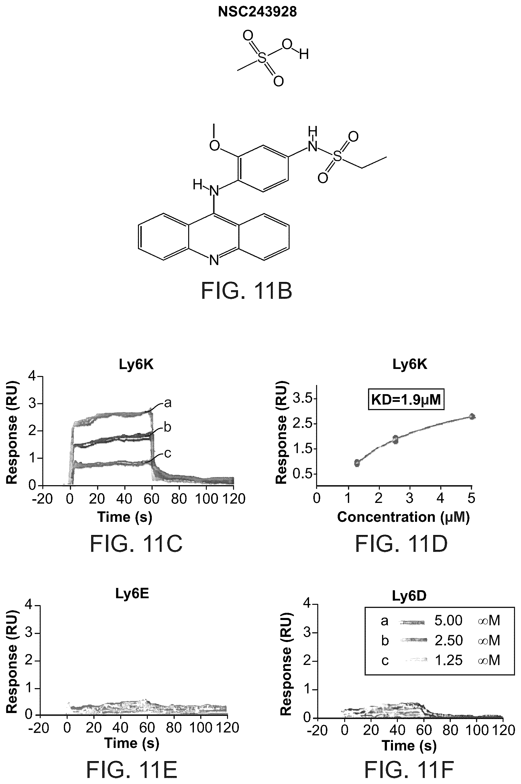 Patent US12134601 Figure 8 – Compounds for inhibiting LY6K and methods of using same