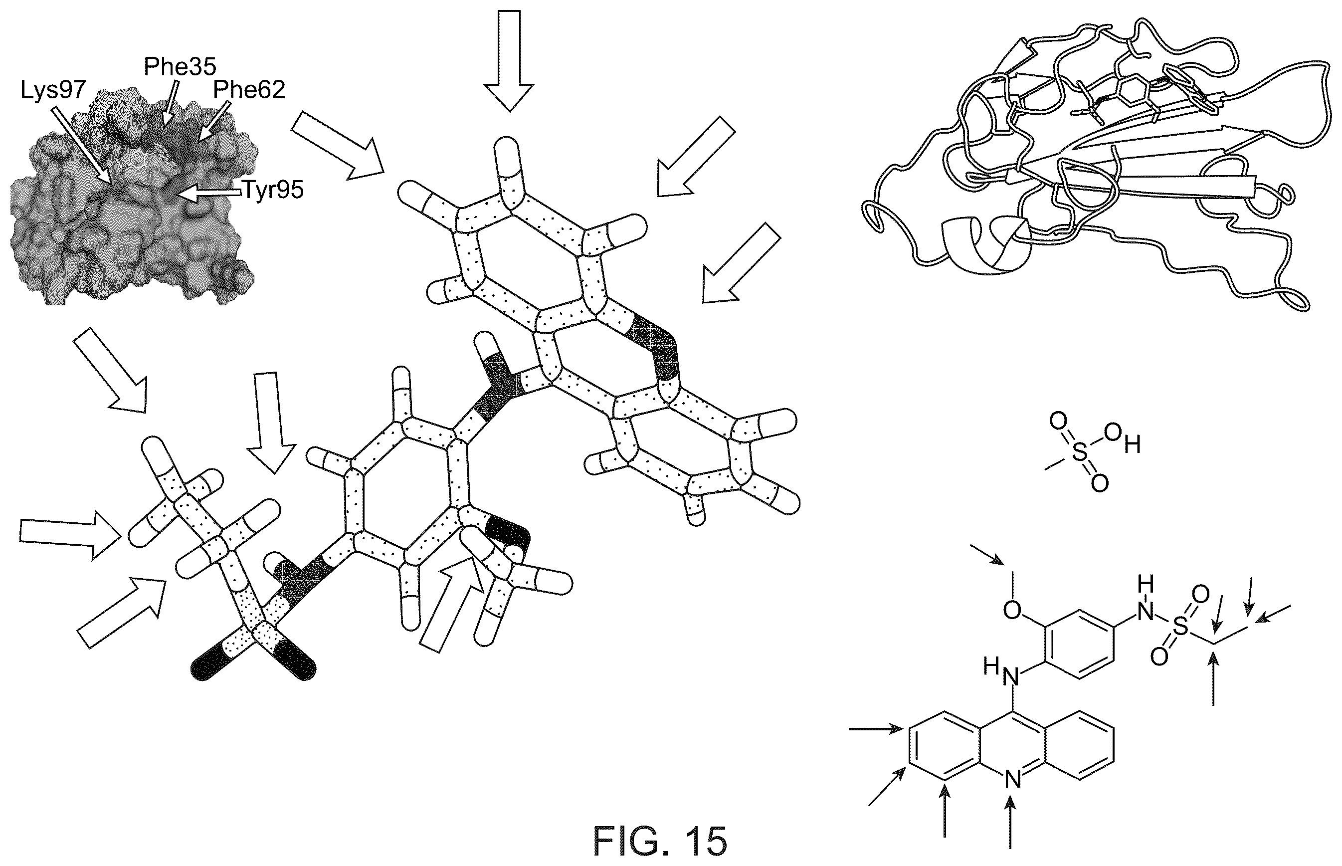 Patent US12134601 Figure 13 – Compounds for inhibiting LY6K and methods of using same