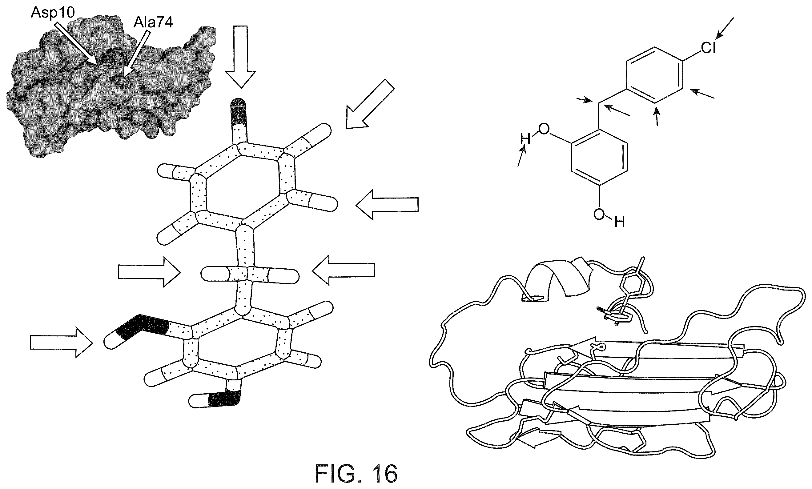Patent US12134601 Figure 14 – Compounds for inhibiting LY6K and methods of using same