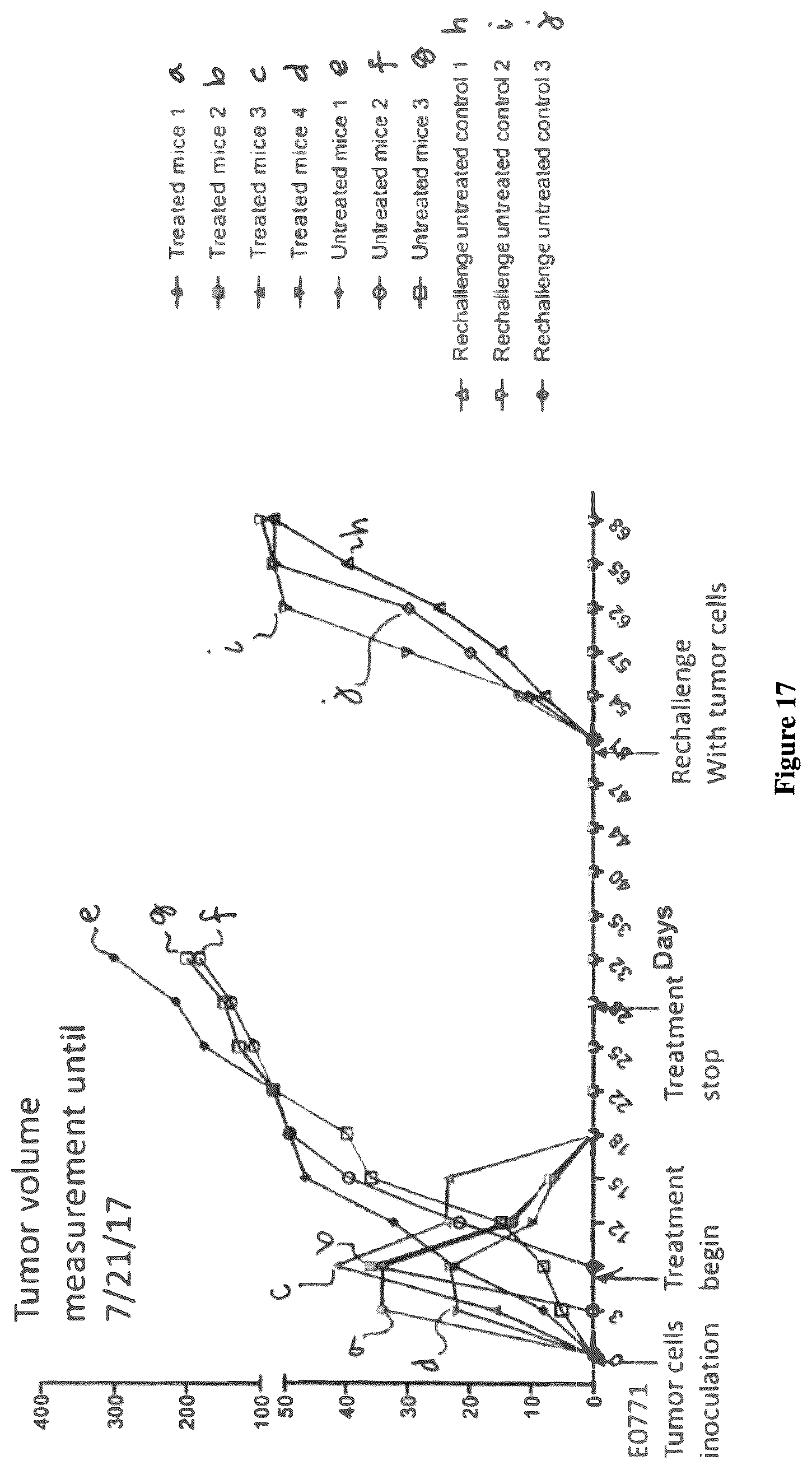 Patent US12134601 Figure 15 – Compounds for inhibiting LY6K and methods of using same