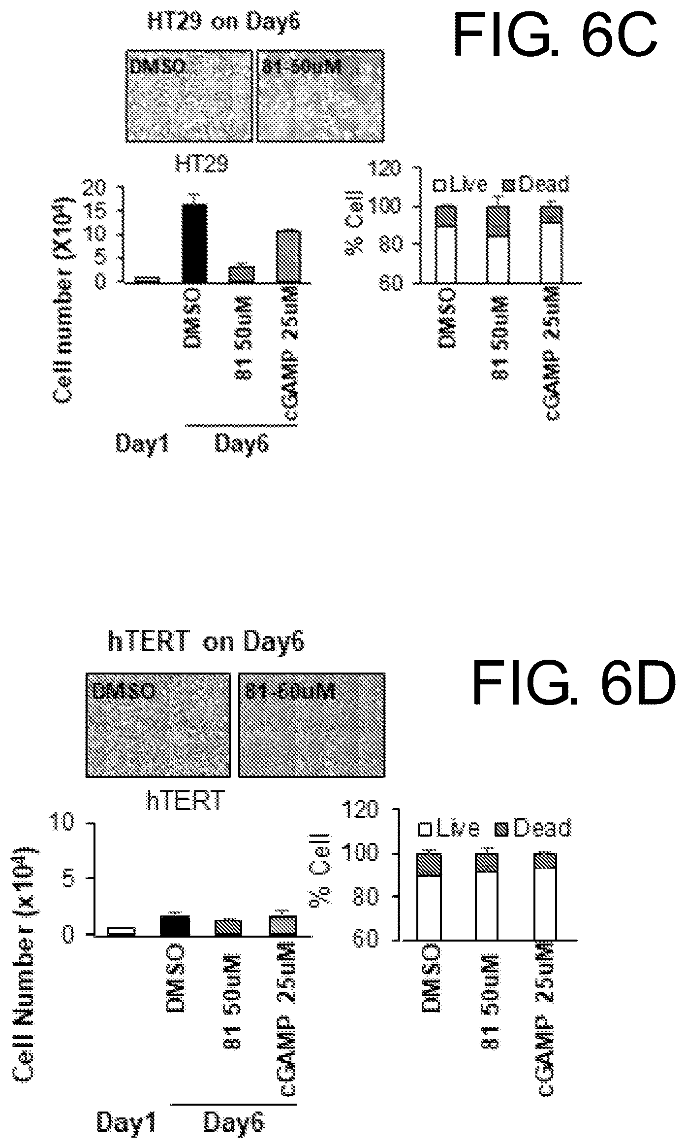Patent US12134605 Figure 13 – Substituted 1,2,4-triazoles and methods of use