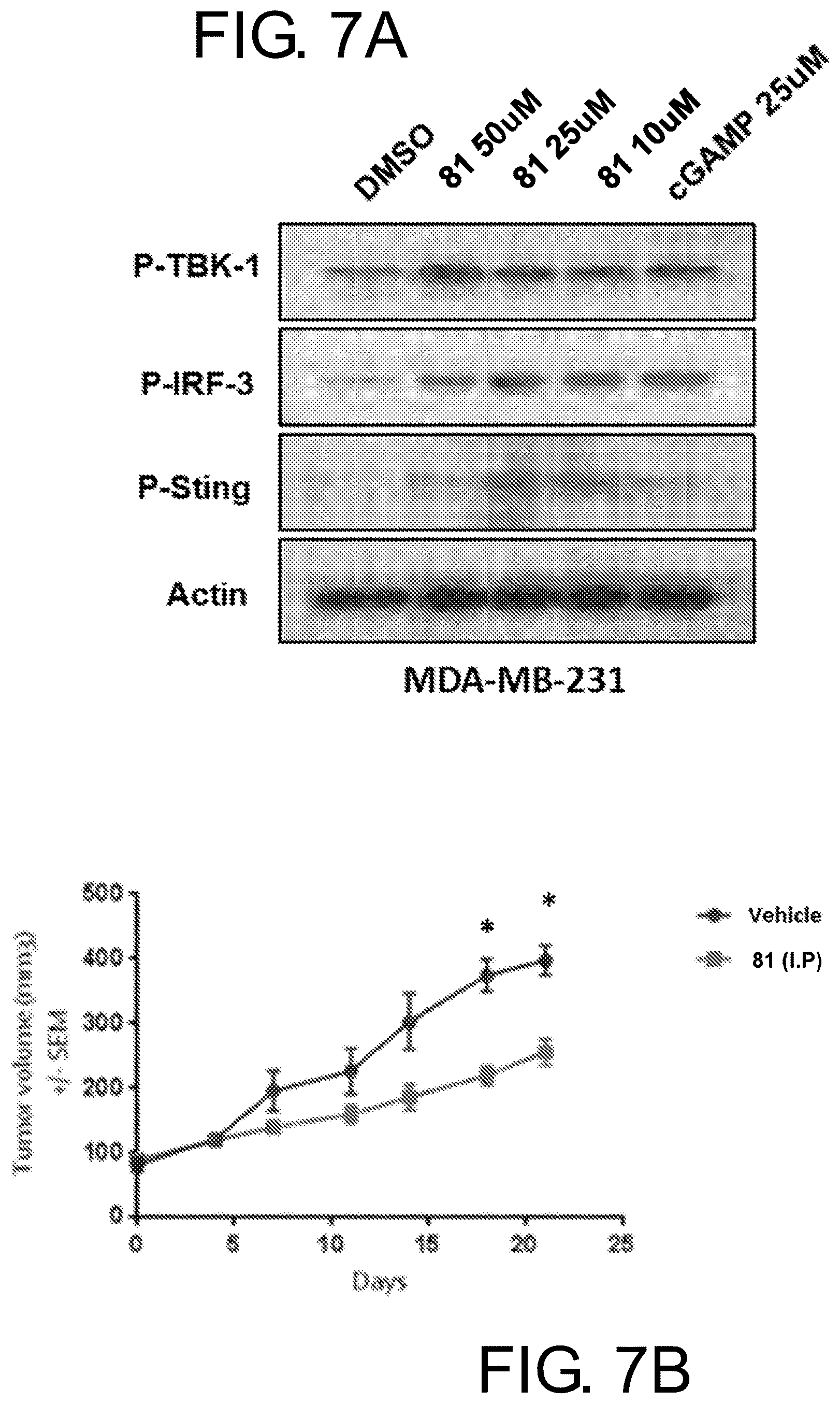 Patent US12134605 Figure 15 – Substituted 1,2,4-triazoles and methods of use