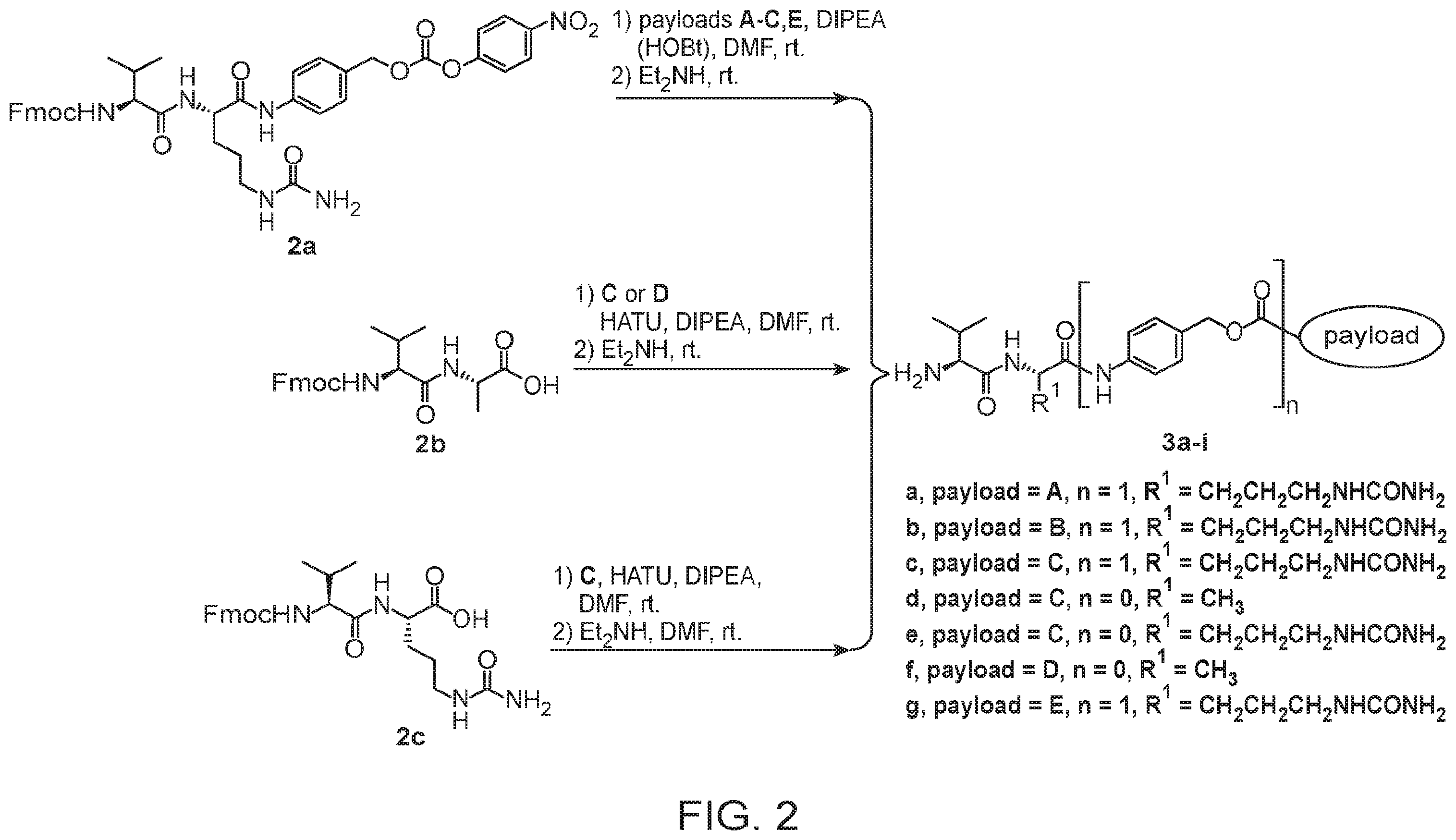 Patent US12134631 Figure 2 – Hydrophilic linkers for antibody drug conjugates