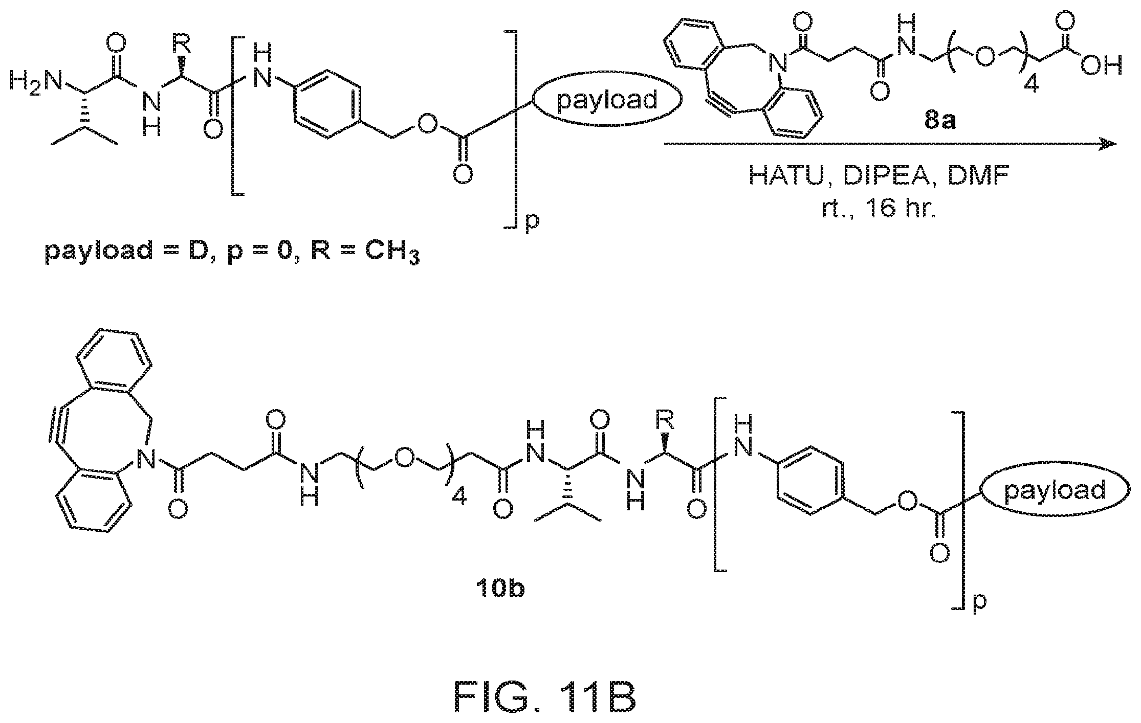 Patent US12134631 Figure 15 – Hydrophilic linkers for antibody drug conjugates