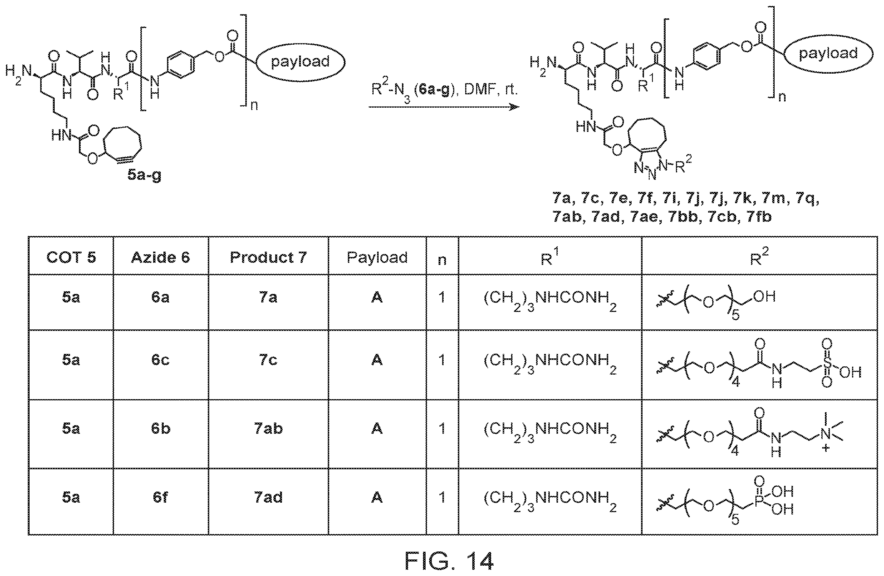 Patent US12134631 Figure 19 – Hydrophilic linkers for antibody drug conjugates