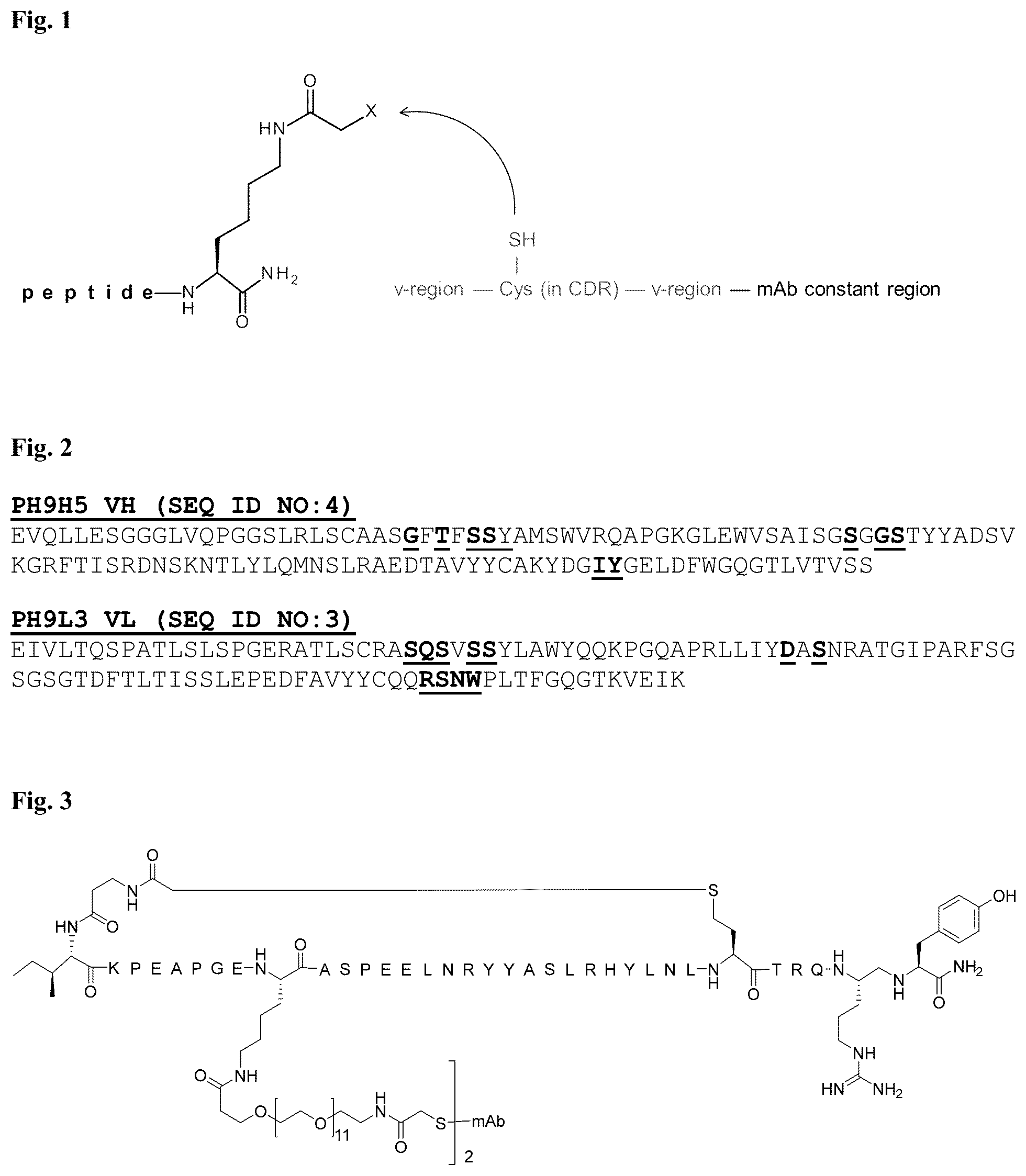 Patent US12134636 — Immunoglobulins and uses thereof — Figure 1