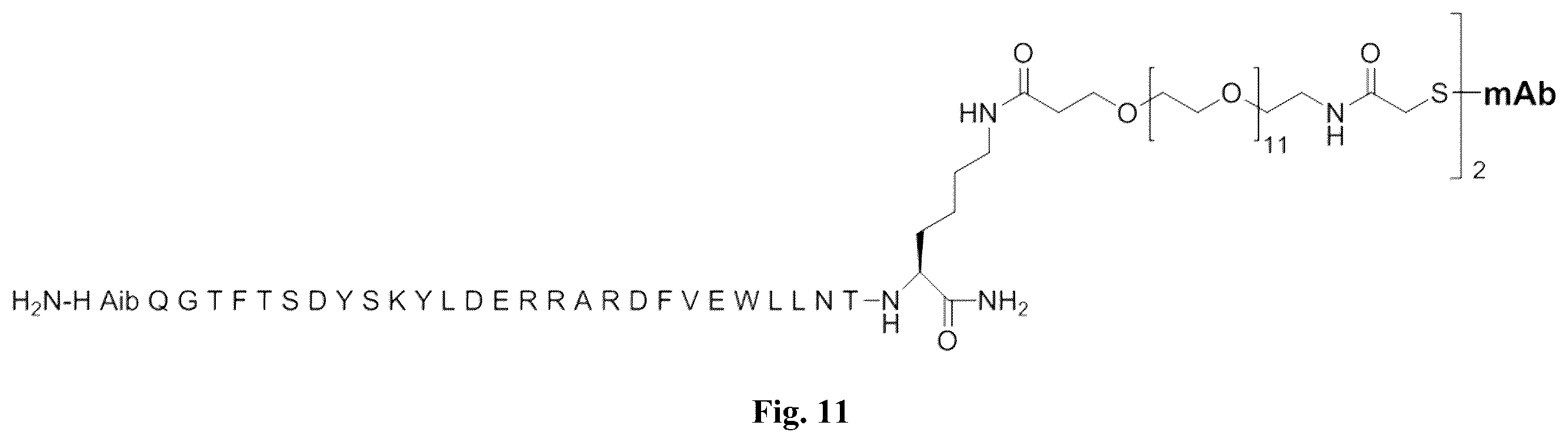 Patent US12134636 Figure 6 – Immunoglobulins and uses thereof