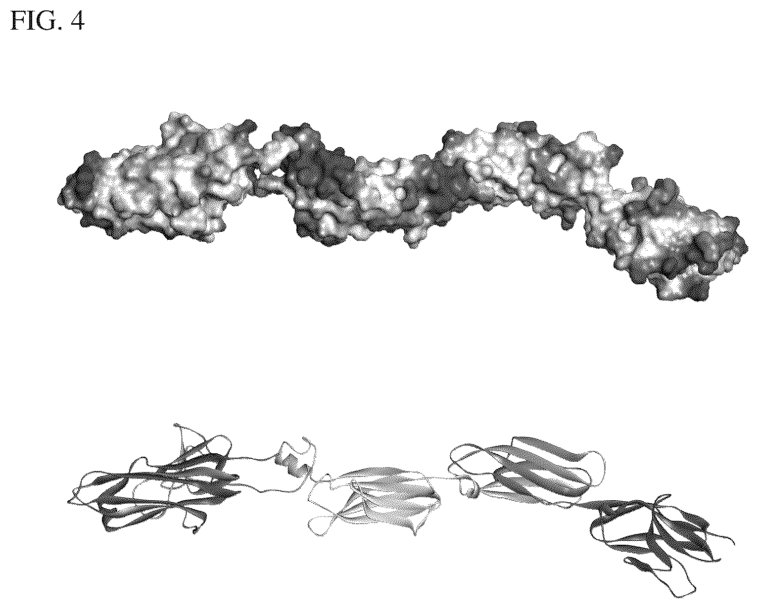 Patent US12134638 Figure 3 – SIRPalpha-4-1BBL variant fusion protein and methods of use thereof