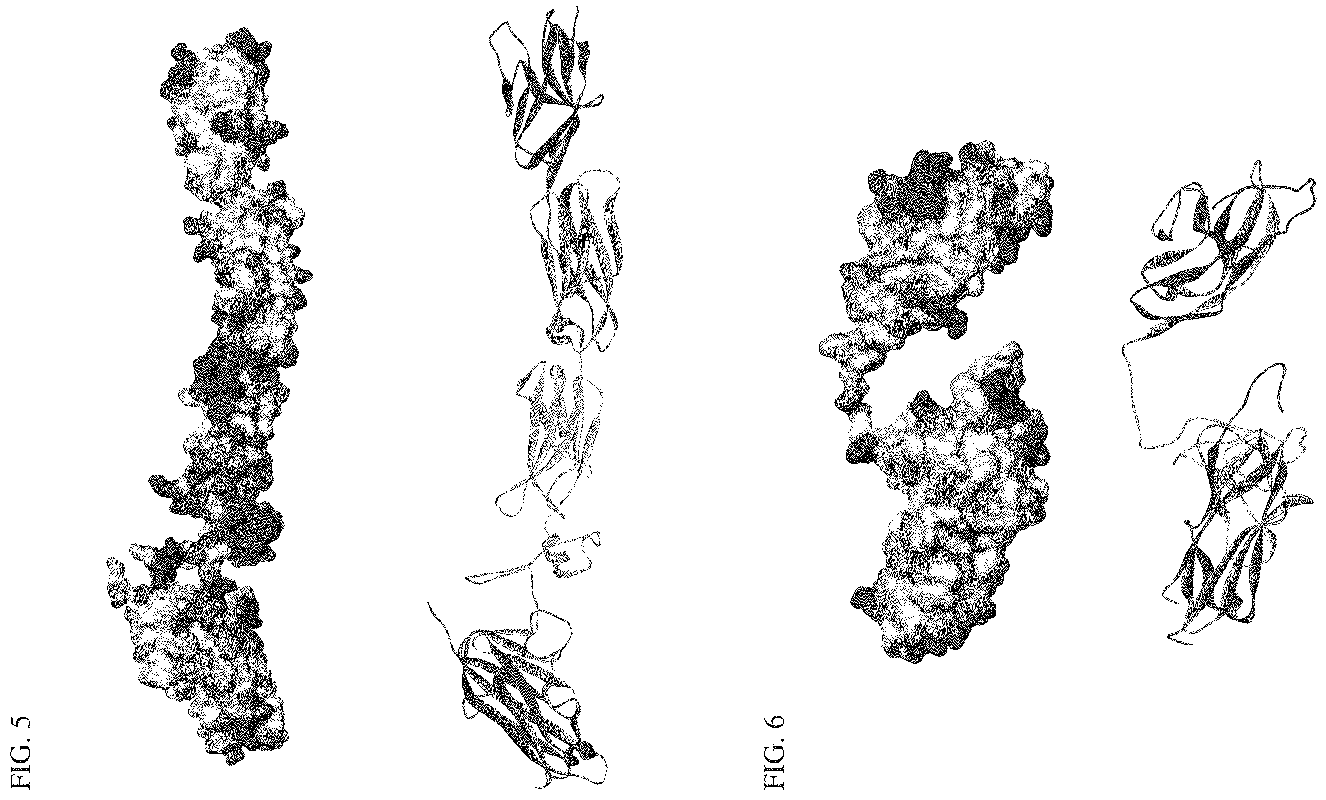Patent US12134638 Figure 4 – SIRPalpha-4-1BBL variant fusion protein and methods of use thereof