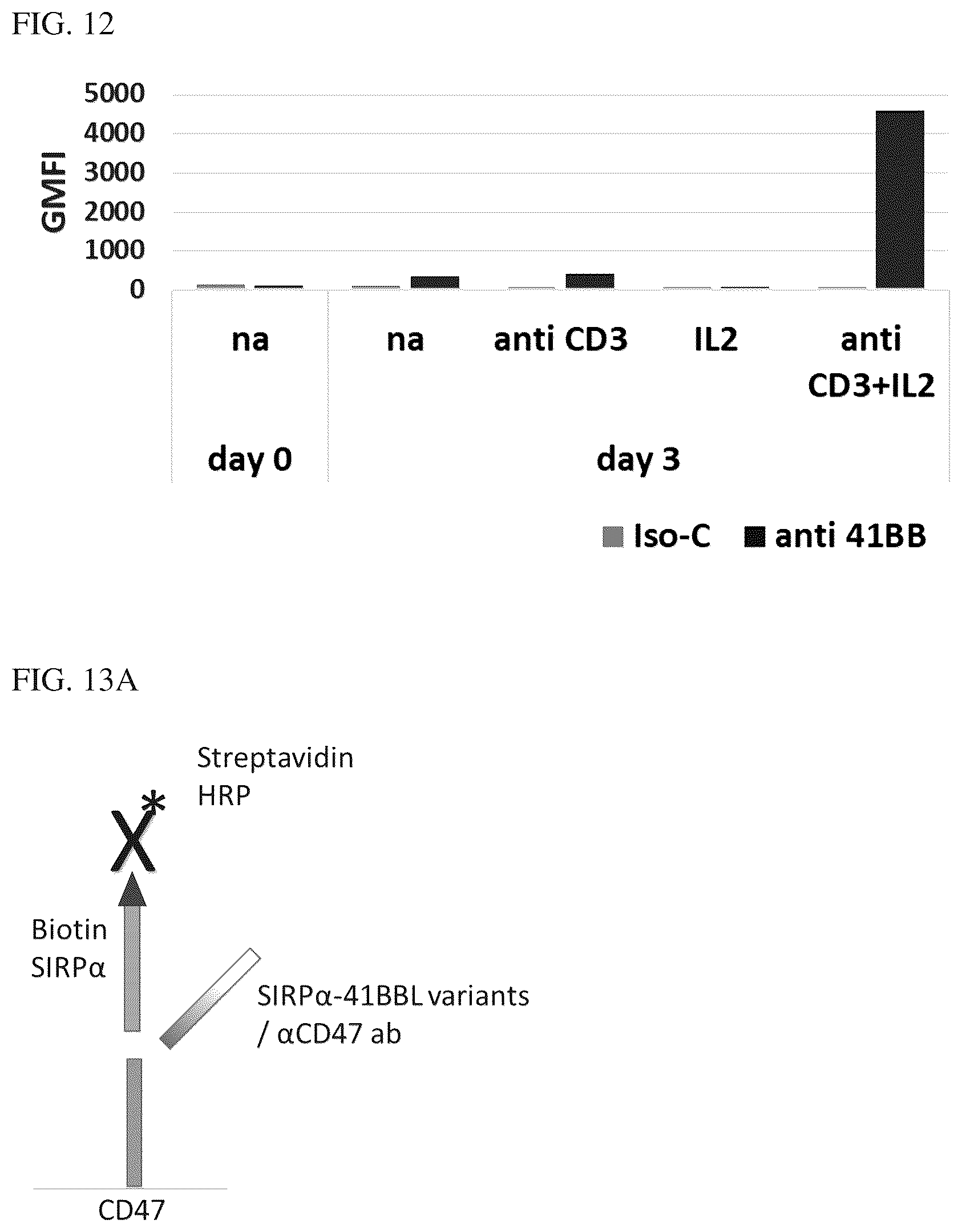 Patent US12134638 Figure 13 – SIRPalpha-4-1BBL variant fusion protein and methods of use thereof