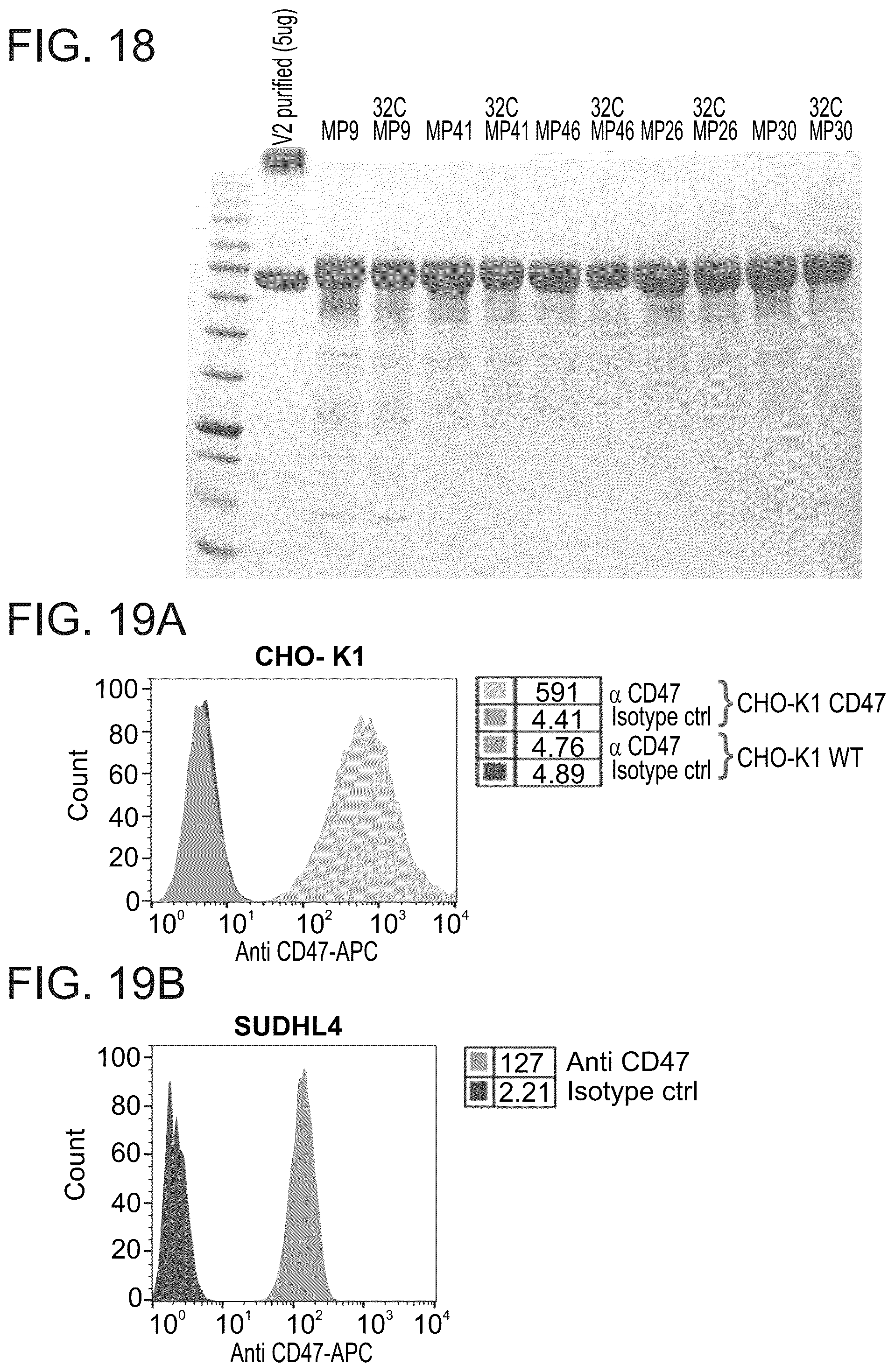 Patent US12134638 Figure 19 – SIRPalpha-4-1BBL variant fusion protein and methods of use thereof
