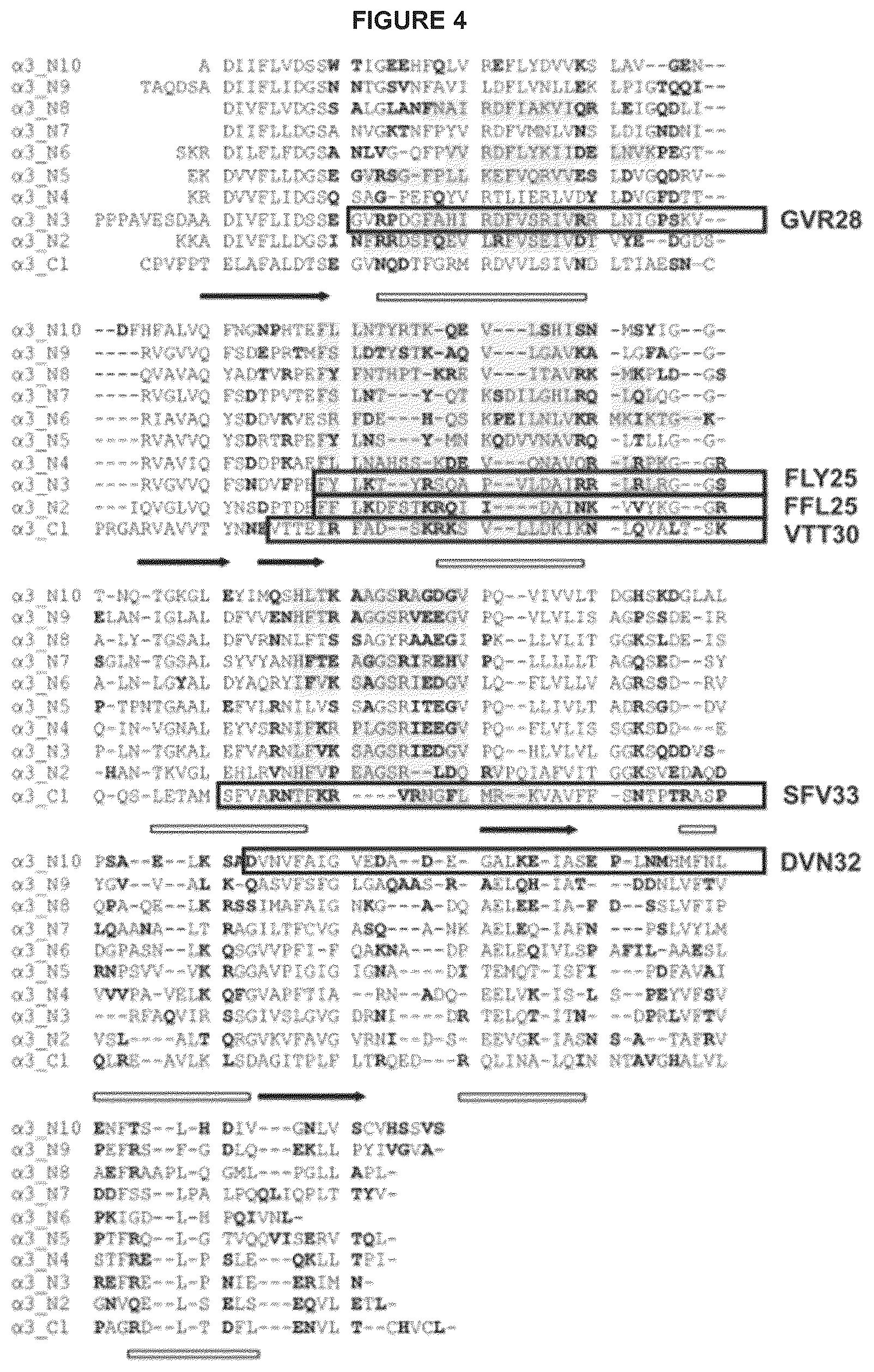 Patent US12134640 Figure 10 – Polypeptides and medical uses thereof