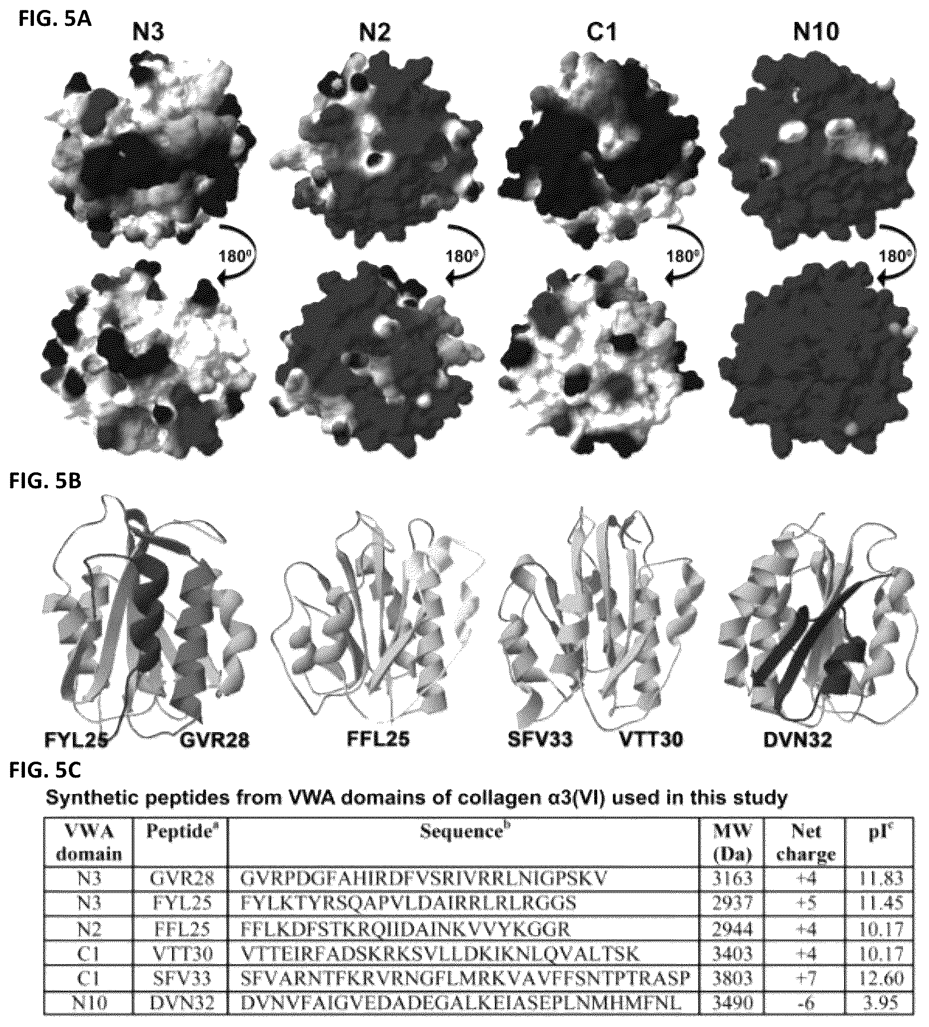 Patent US12134640 Figure 11 – Polypeptides and medical uses thereof
