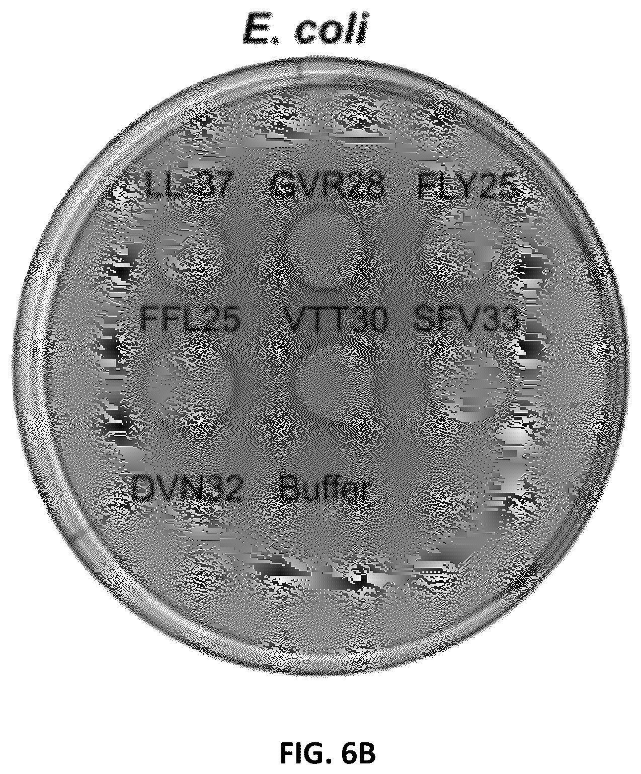 Patent US12134640 Figure 13 – Polypeptides and medical uses thereof