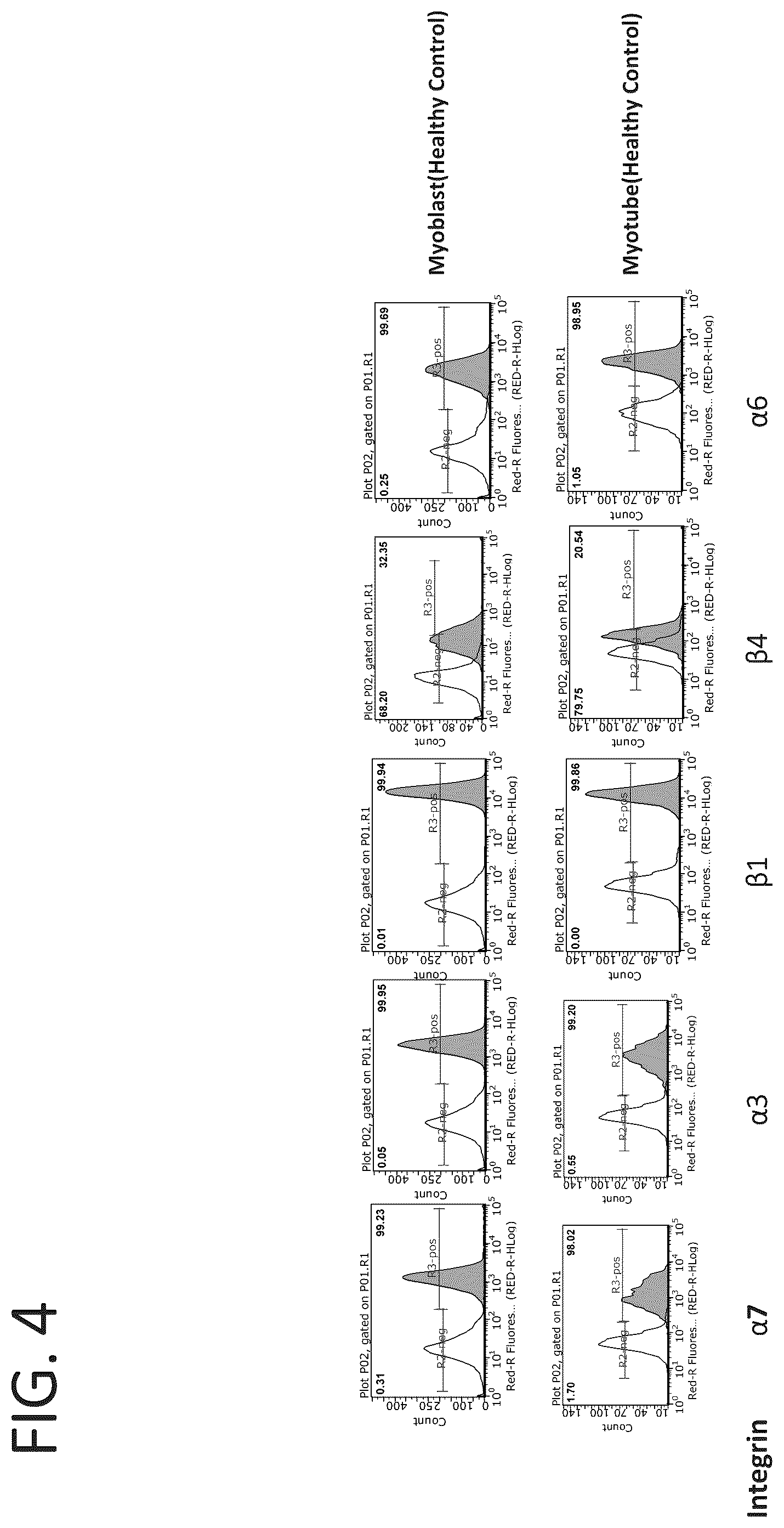 Patent US12134642 Figure 4 – Antibodies binding to α7β1 integrin antibodies and compositions thereof