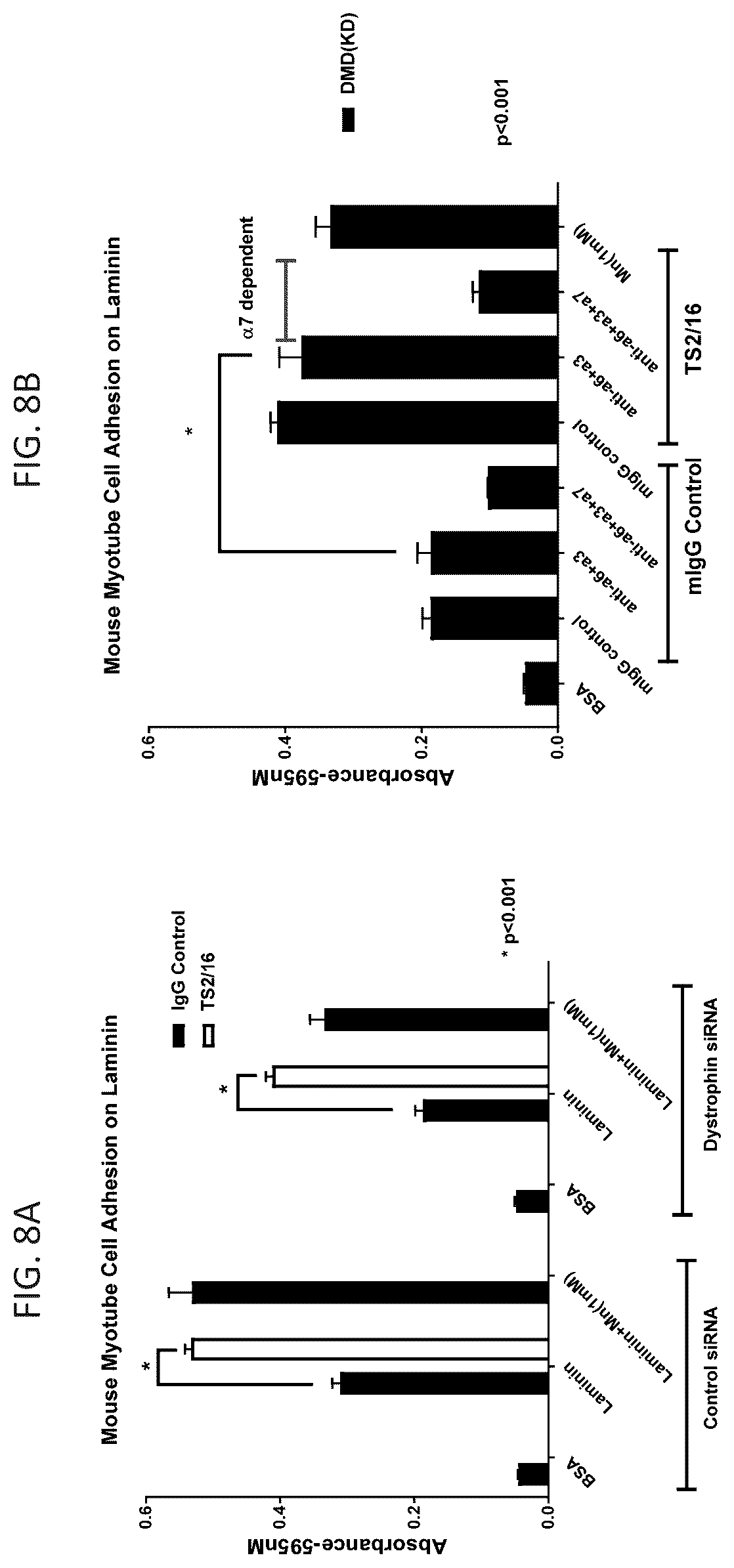 Patent US12134642 Figure 8 – Antibodies binding to α7β1 integrin antibodies and compositions thereof