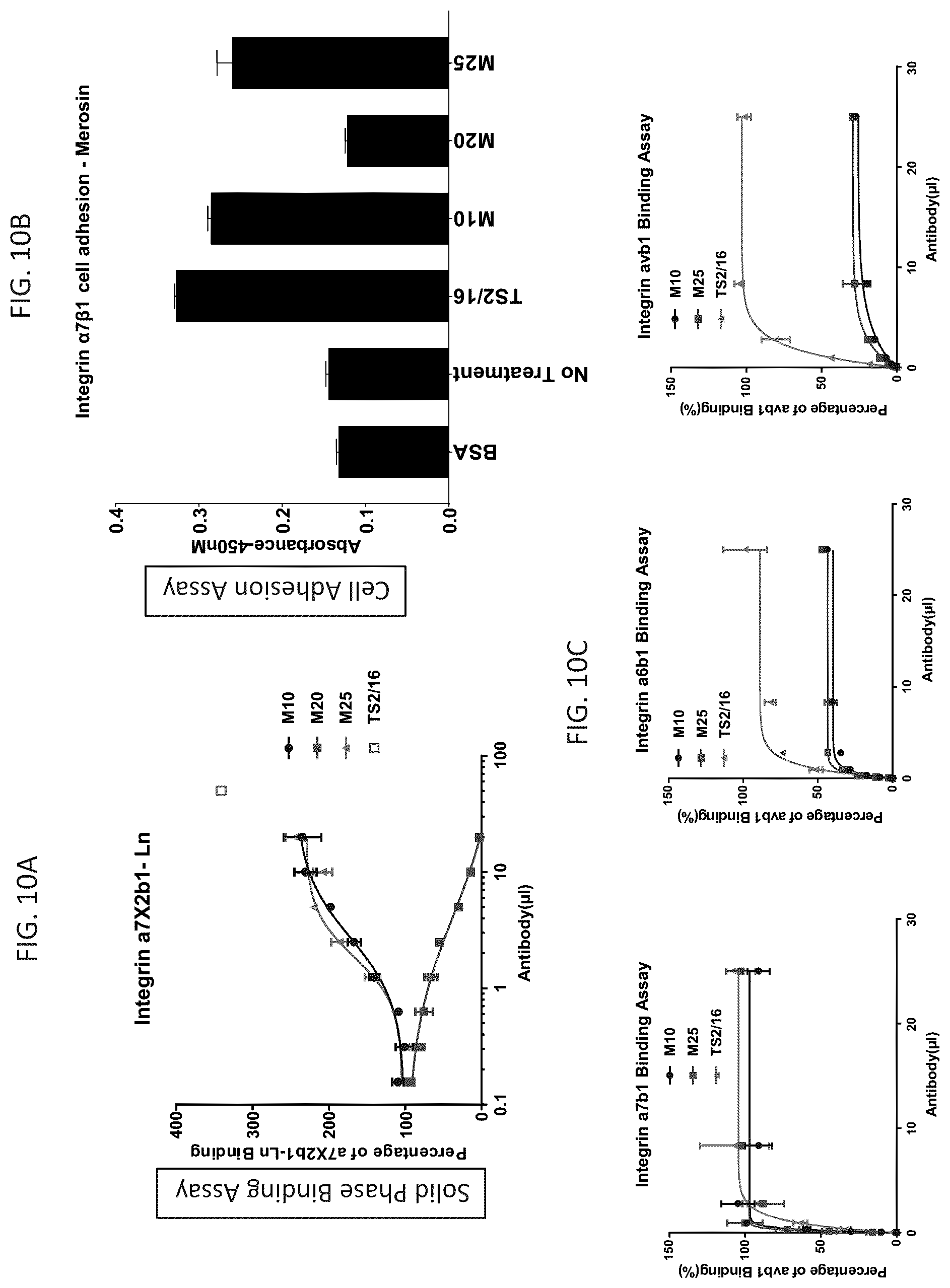 Patent US12134642 Figure 10 – Antibodies binding to α7β1 integrin antibodies and compositions thereof
