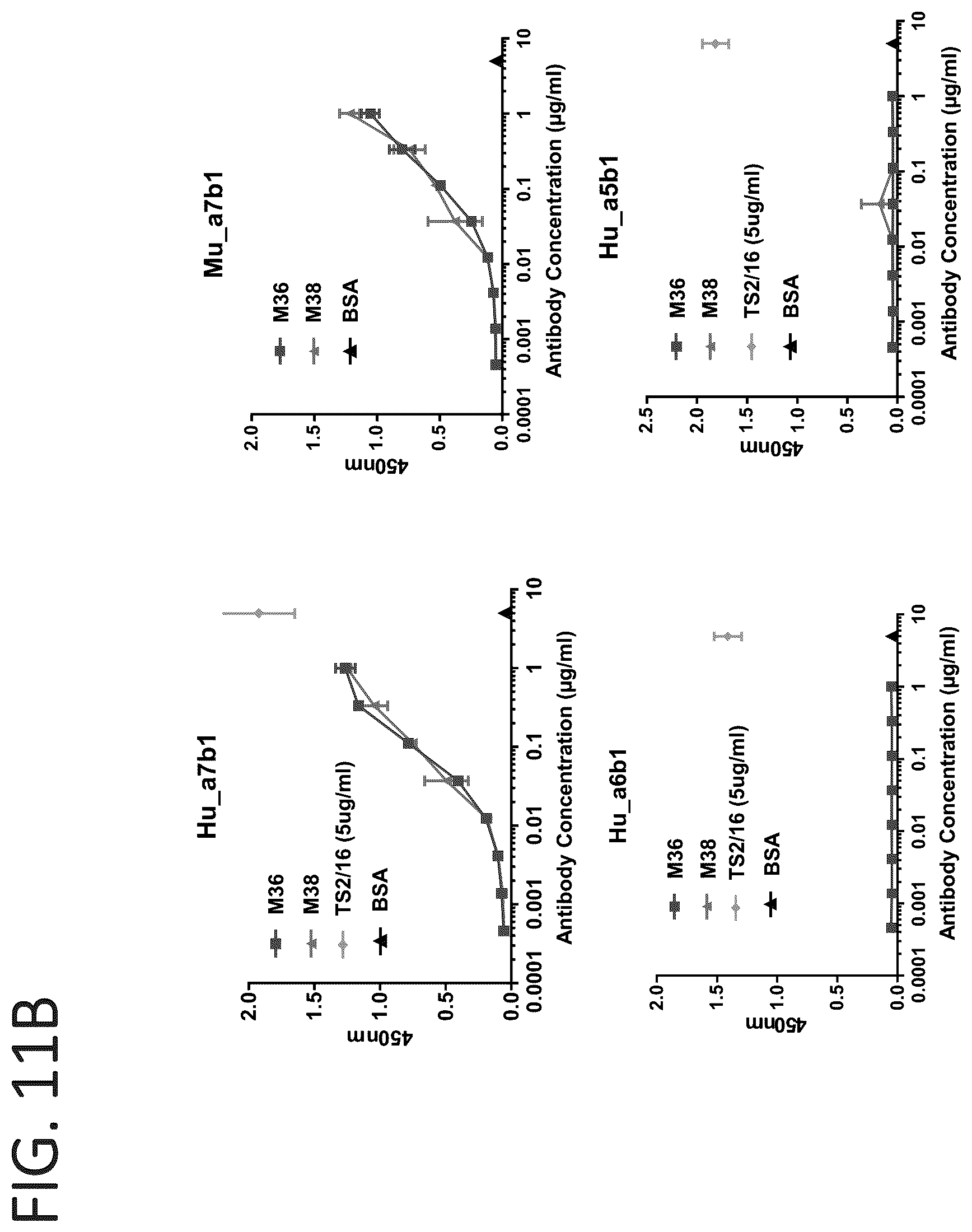 Patent US12134642 Figure 12 – Antibodies binding to α7β1 integrin antibodies and compositions thereof