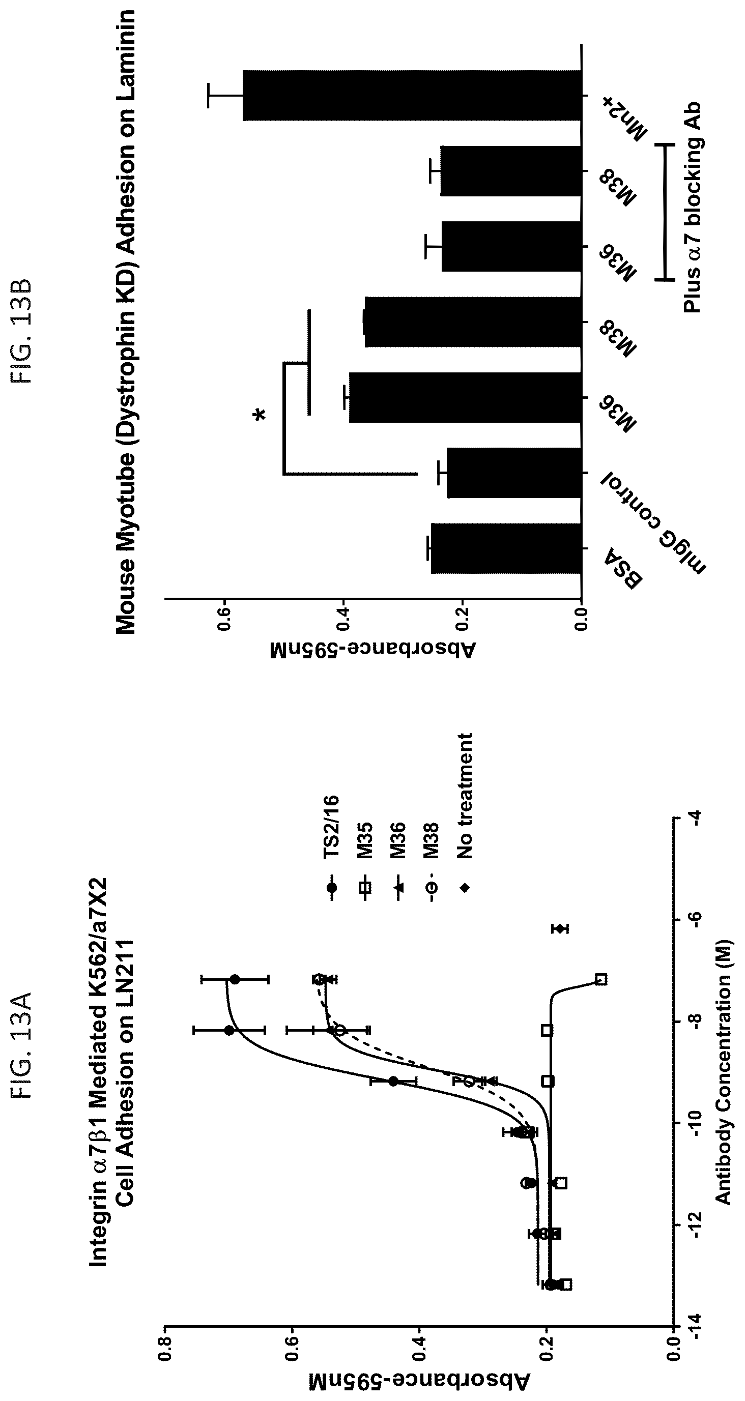 Patent US12134642 Figure 14 – Antibodies binding to α7β1 integrin antibodies and compositions thereof