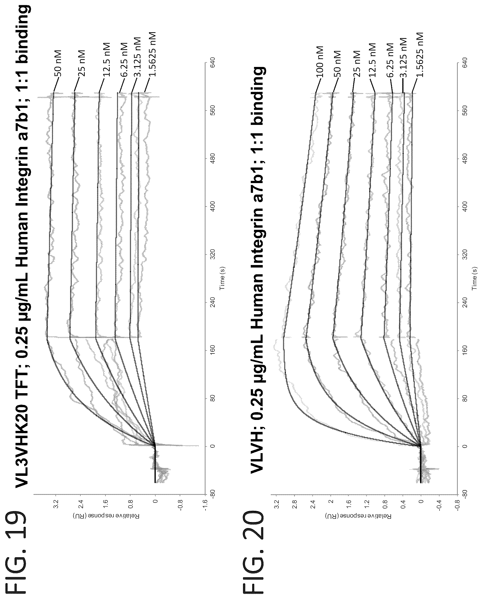 Patent US12134642 Figure 20 – Antibodies binding to α7β1 integrin antibodies and compositions thereof