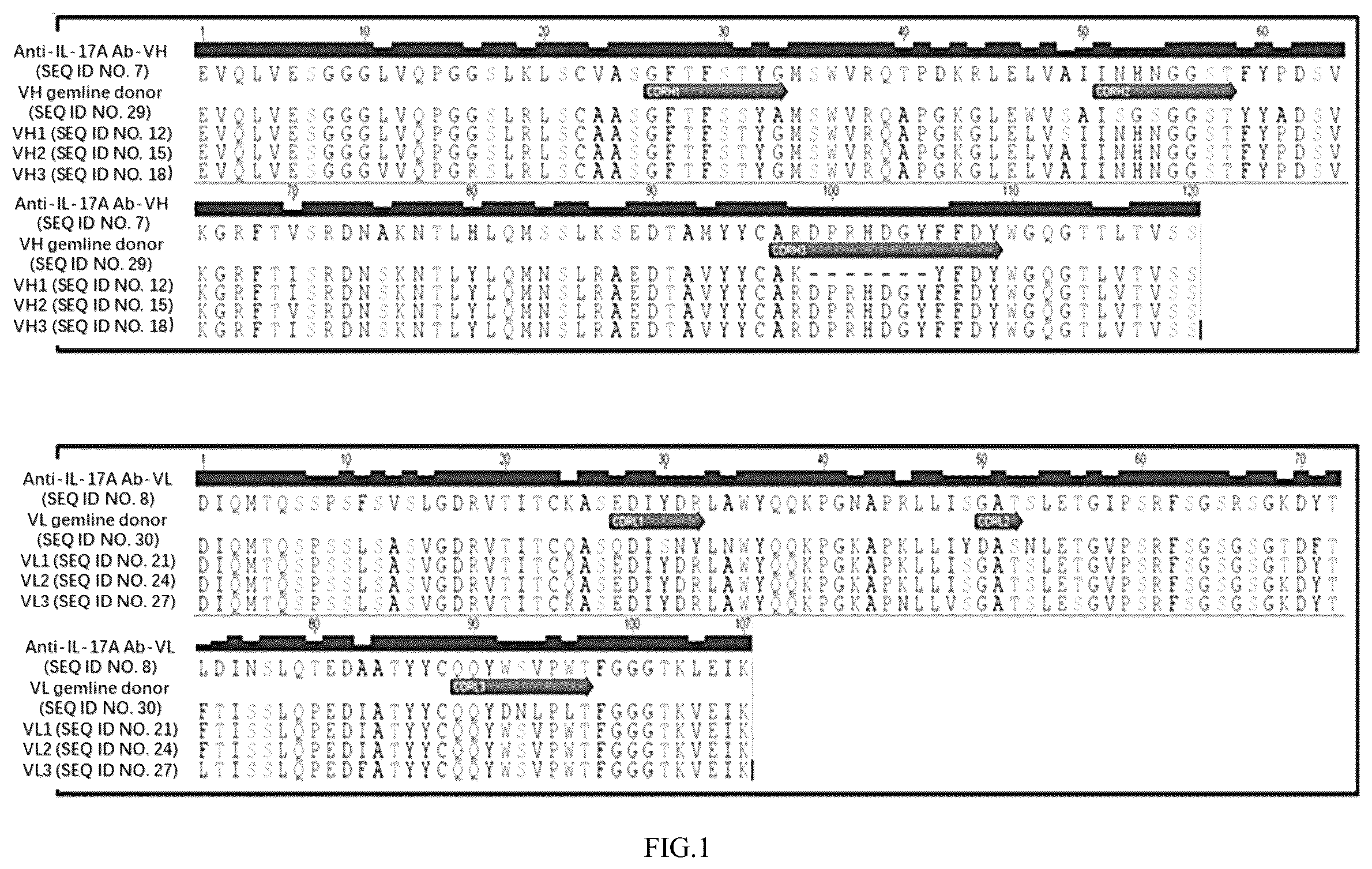 Patent US12134644 — Anti-IL-17A antibodies and use thereof — Figure 1