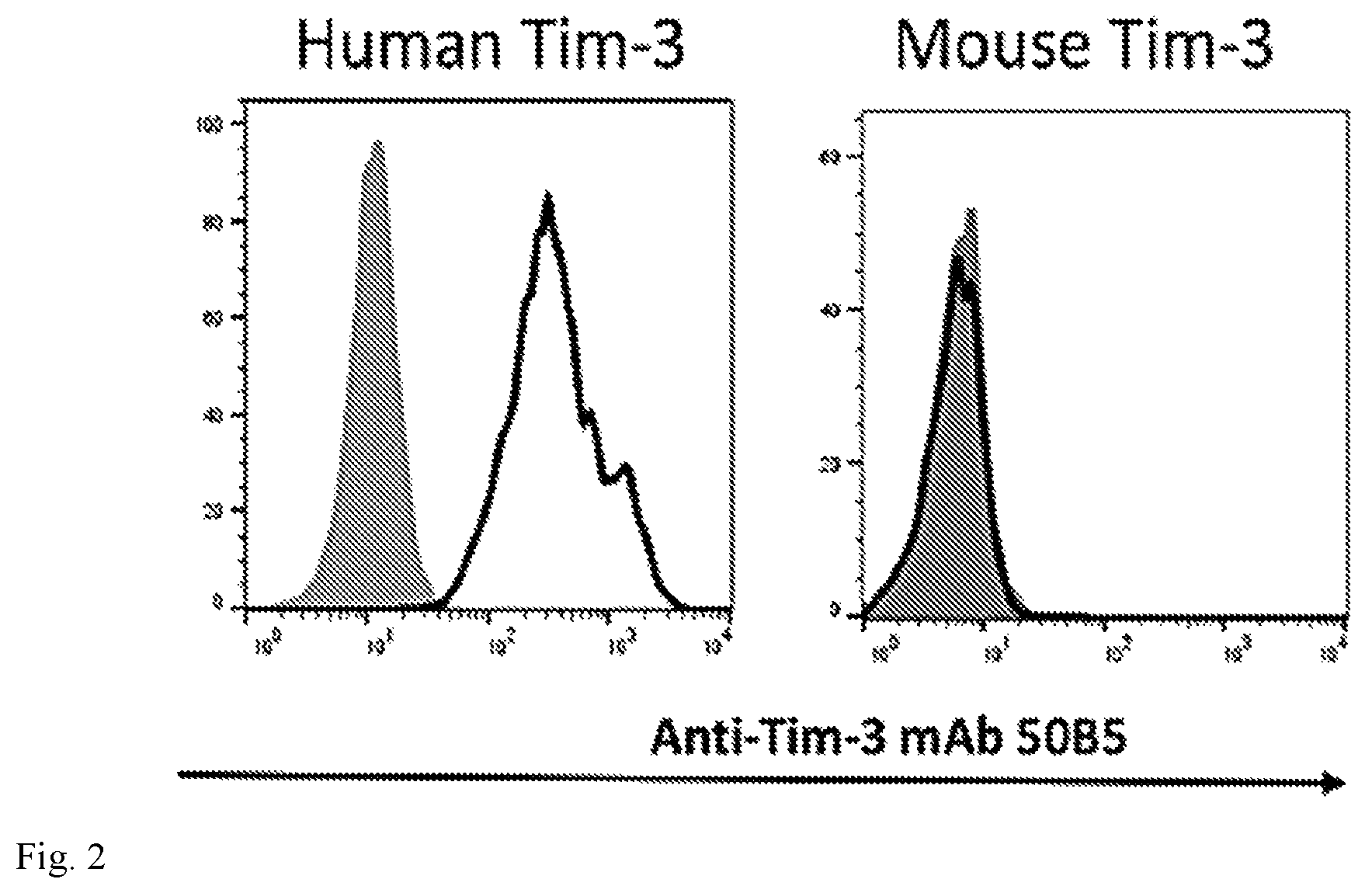 Patent US12134645 Figure 2 – Monoclonal antibodies against human tim-3