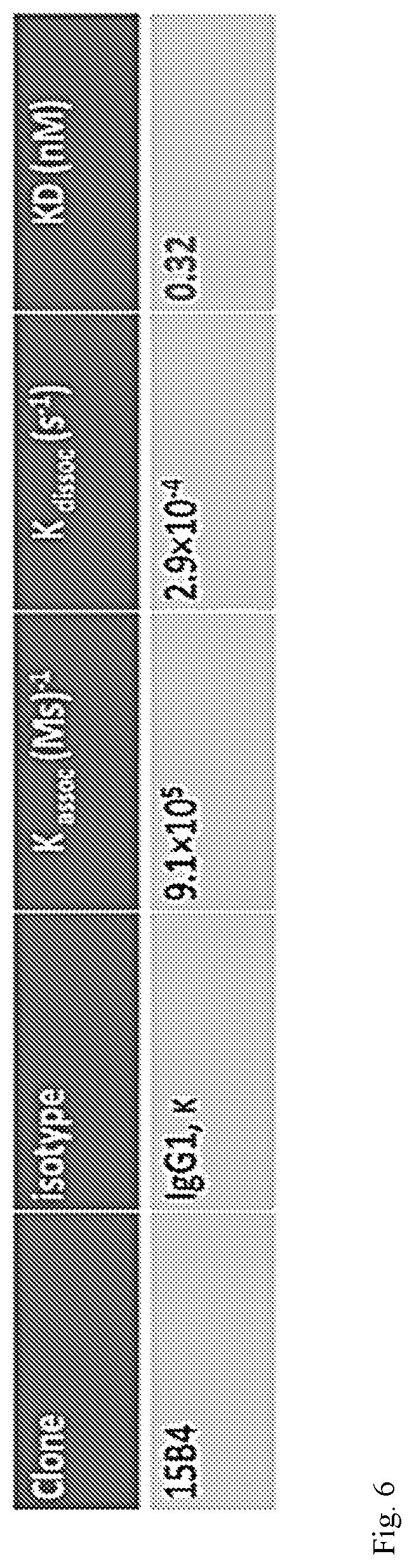 Patent US12134645 Figure 6 – Monoclonal antibodies against human tim-3
