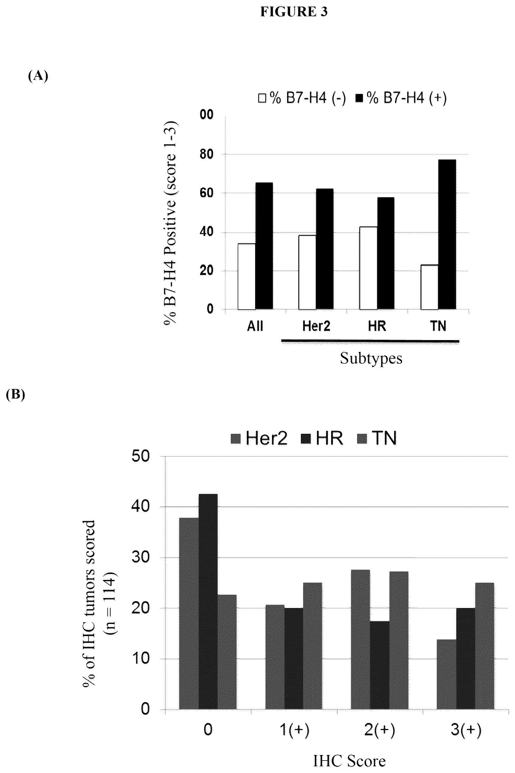Patent US12134649 Figure 3 – Anti-B7-H4 antibodies and immunoconjugates