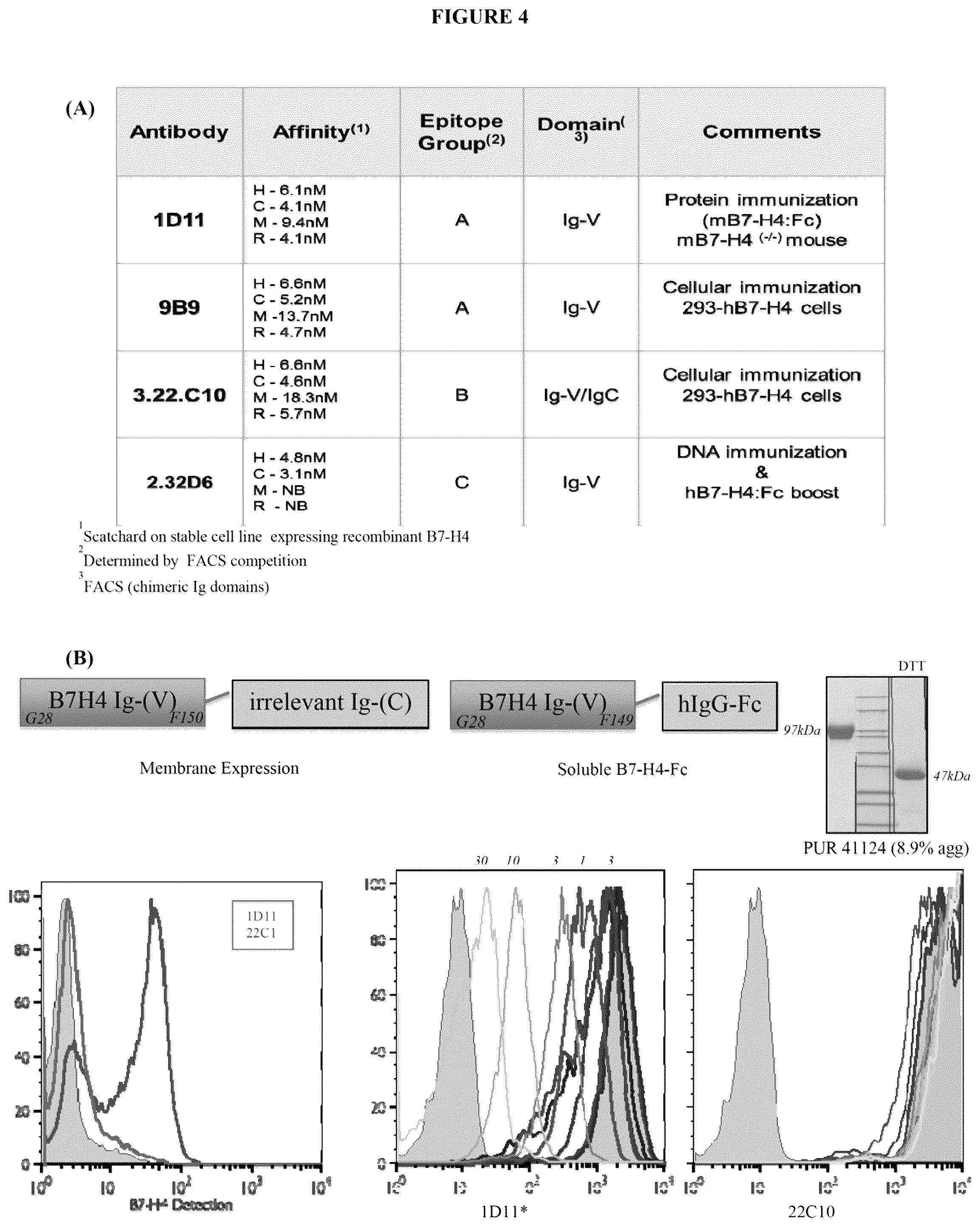 Patent US12134649 Figure 7 – Anti-B7-H4 antibodies and immunoconjugates