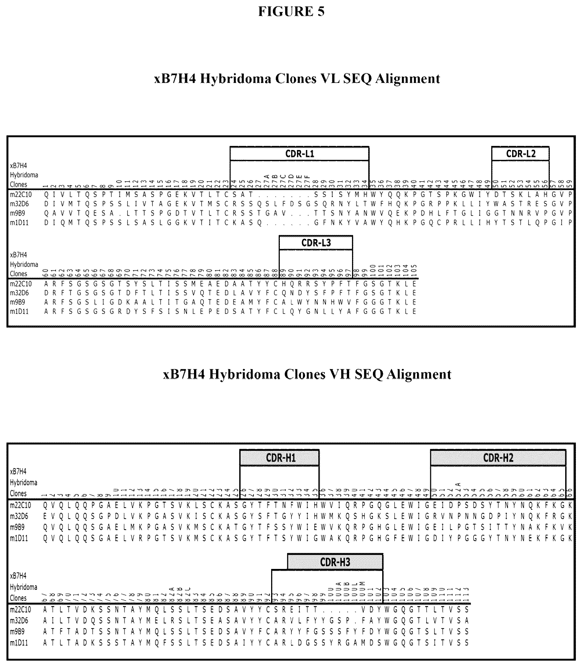 Patent US12134649 Figure 8 – Anti-B7-H4 antibodies and immunoconjugates