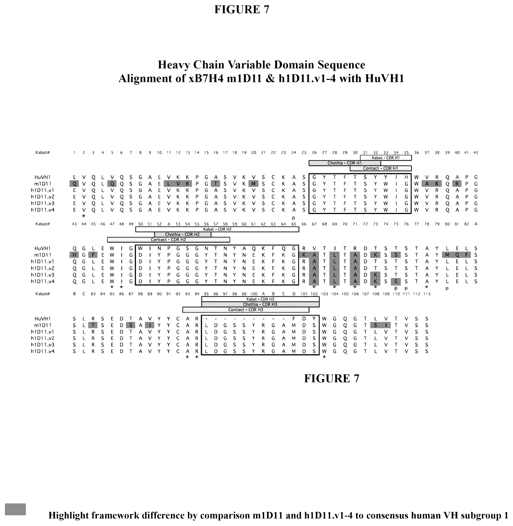 Patent US12134649 Figure 11 – Anti-B7-H4 antibodies and immunoconjugates