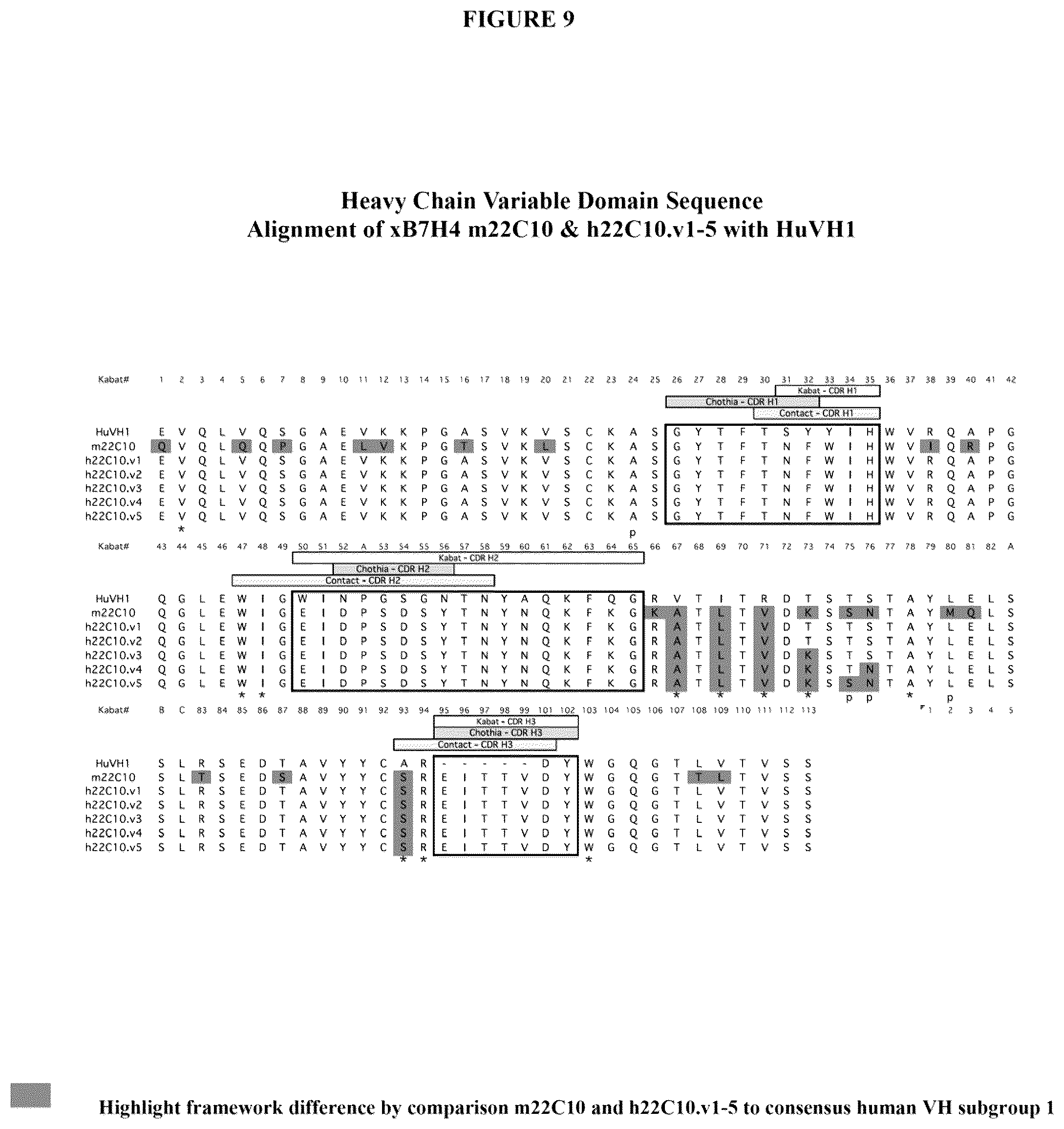 Patent US12134649 Figure 15 – Anti-B7-H4 antibodies and immunoconjugates