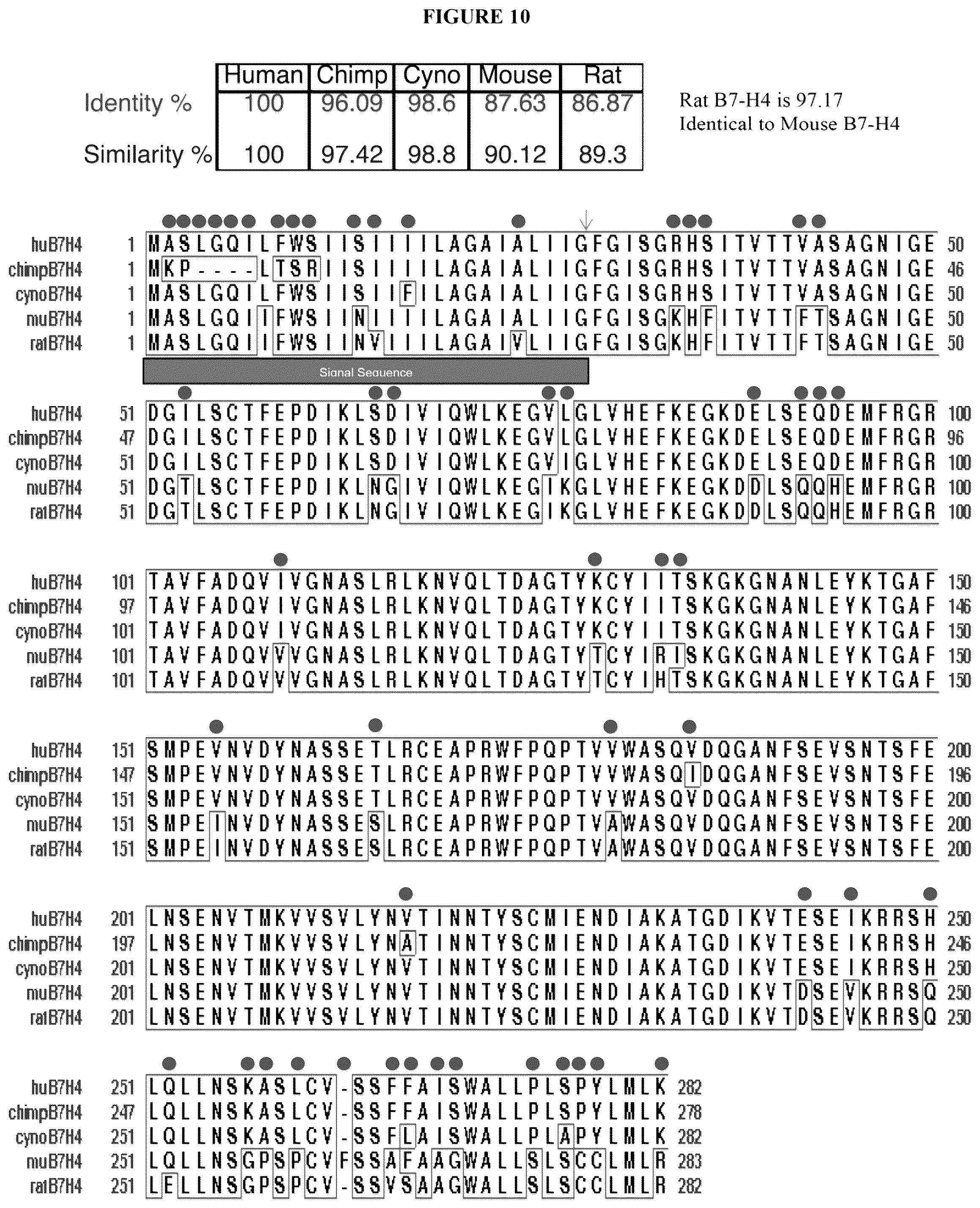 Patent US12134649 Figure 17 – Anti-B7-H4 antibodies and immunoconjugates