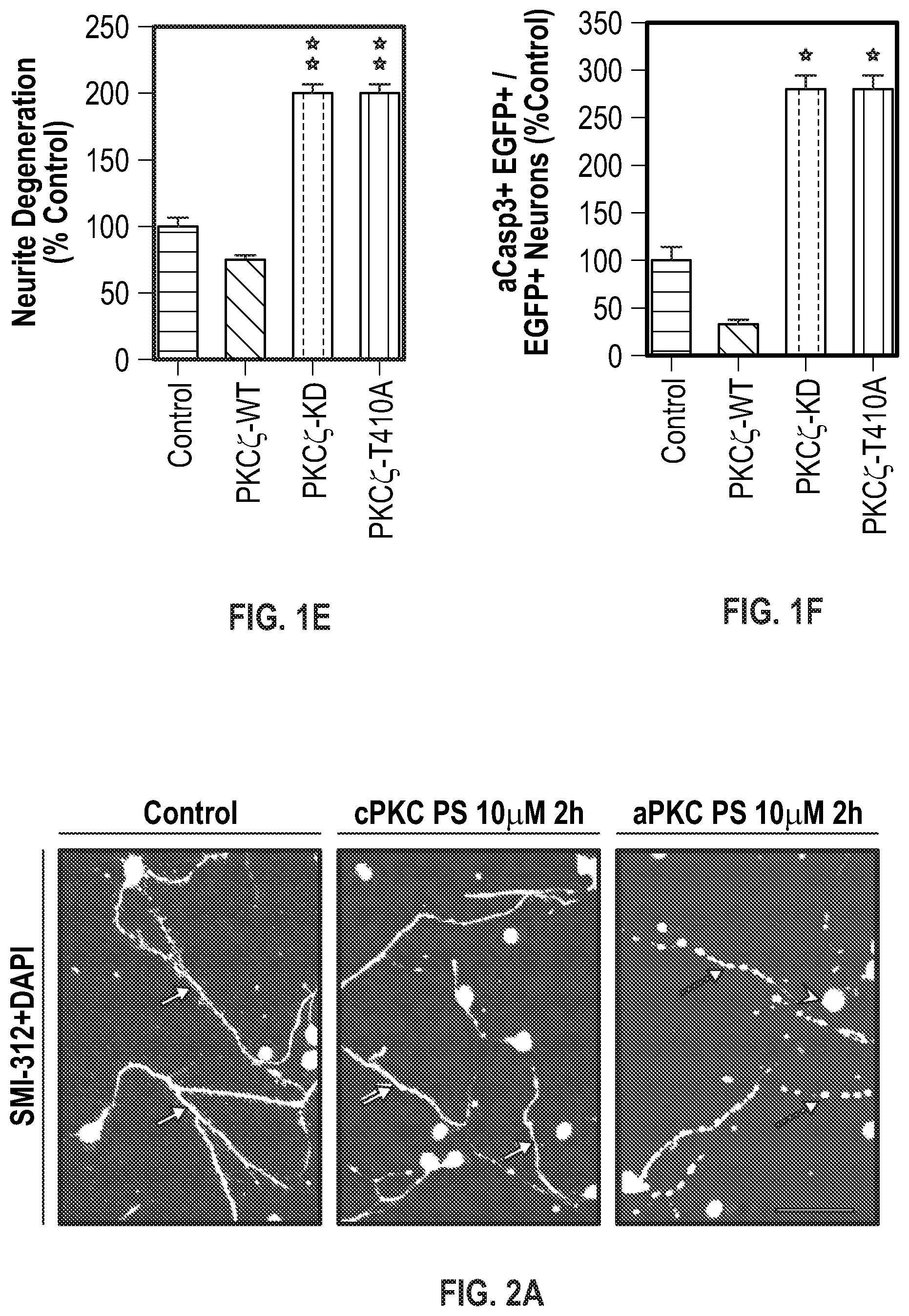 Patent US12134651 Figure 3 – Anti-Ryk antibodies and methods of using the same