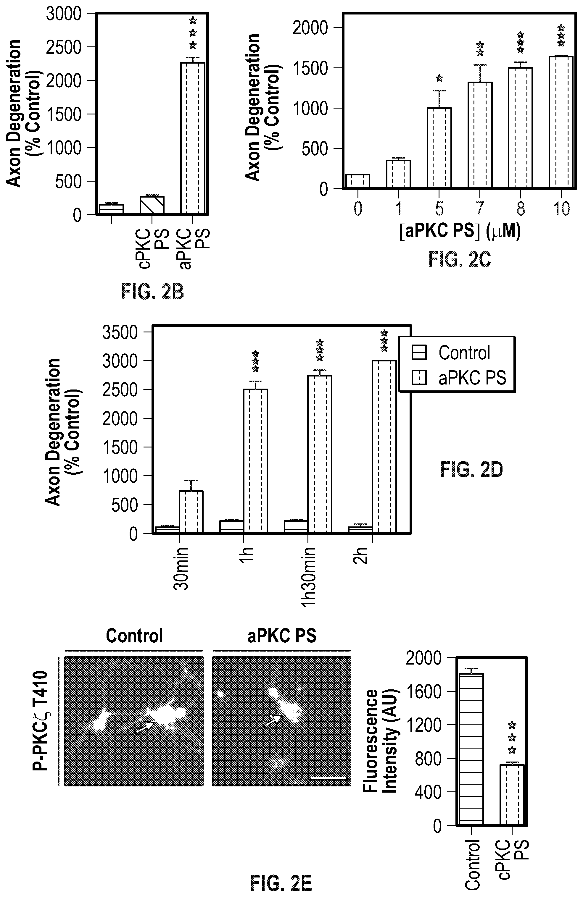 Patent US12134651 Figure 4 – Anti-Ryk antibodies and methods of using the same