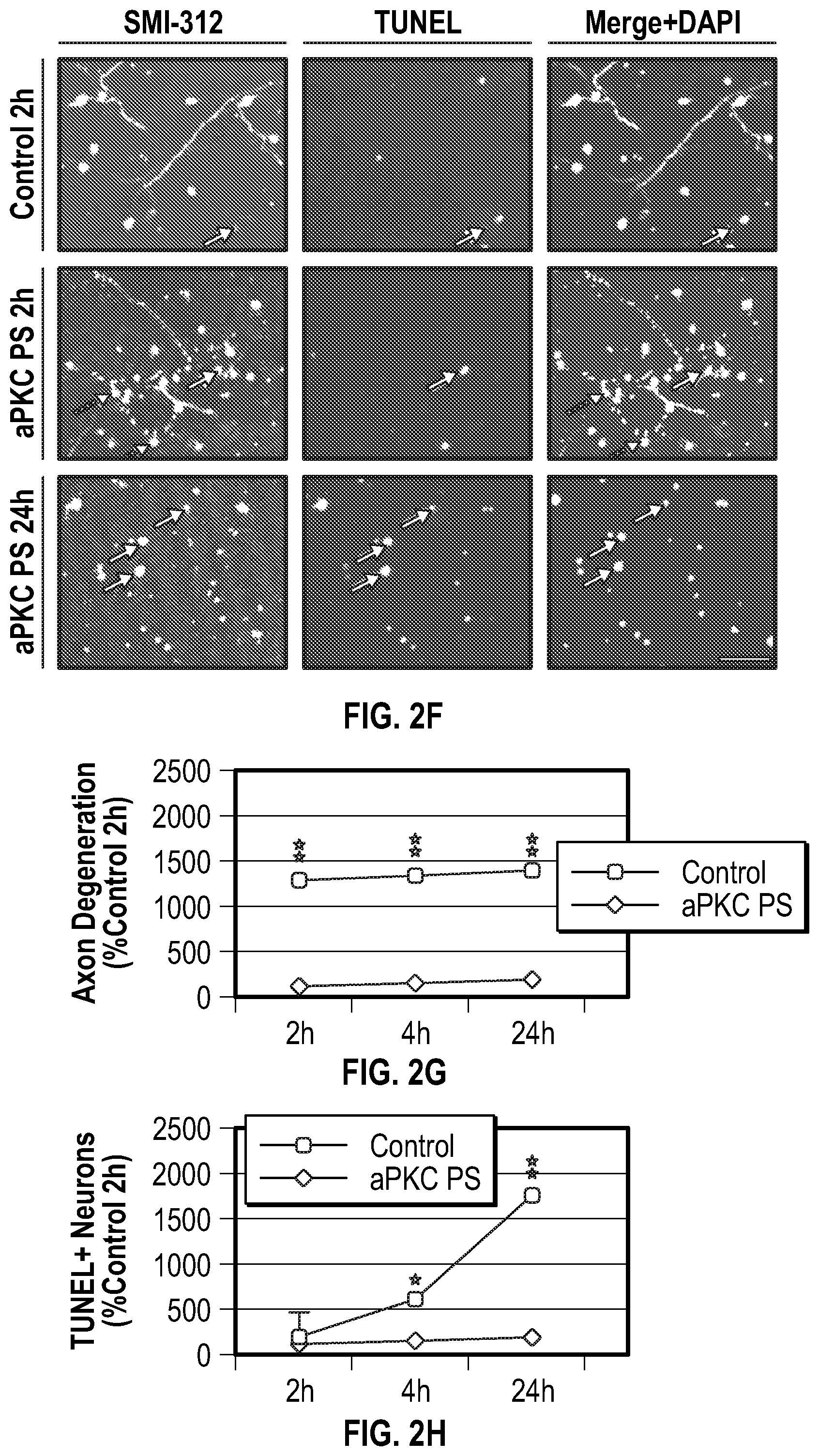 Patent US12134651 Figure 5 – Anti-Ryk antibodies and methods of using the same