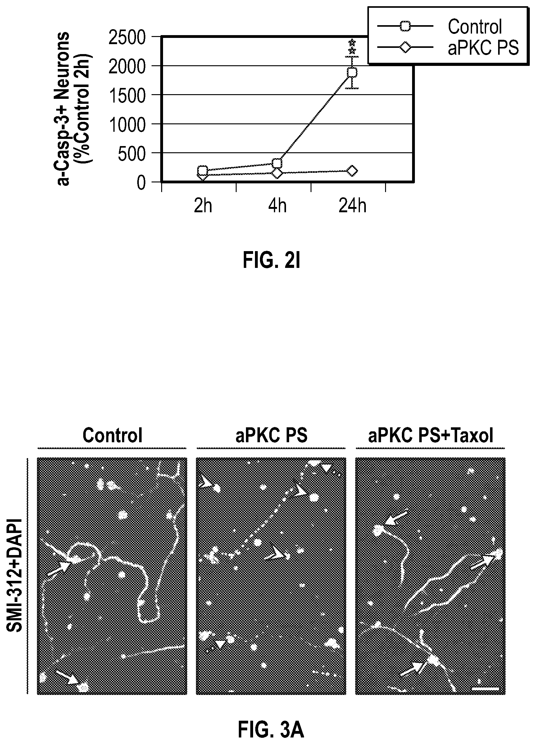 Patent US12134651 Figure 6 – Anti-Ryk antibodies and methods of using the same