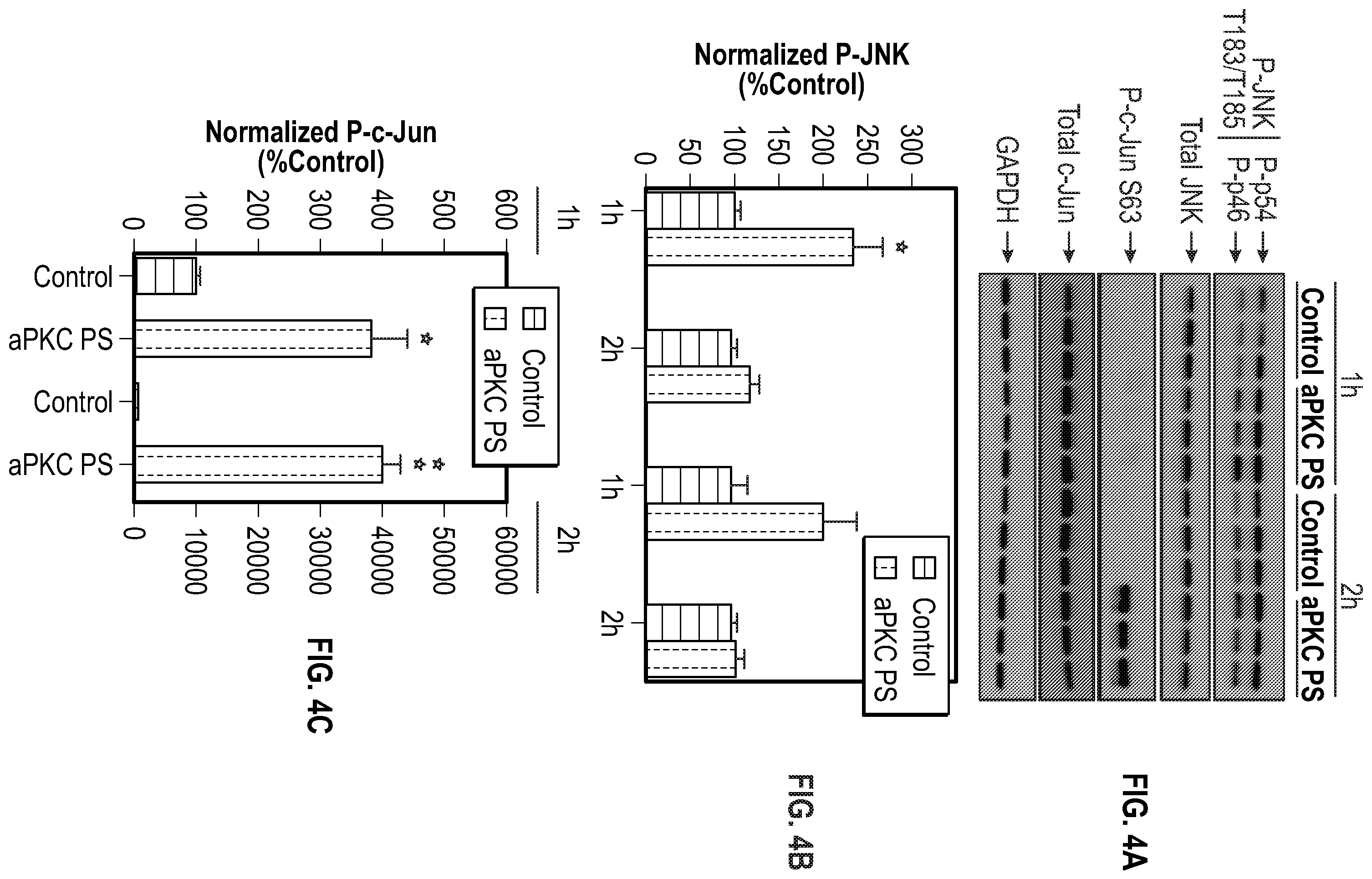 Patent US12134651 Figure 11 – Anti-Ryk antibodies and methods of using the same